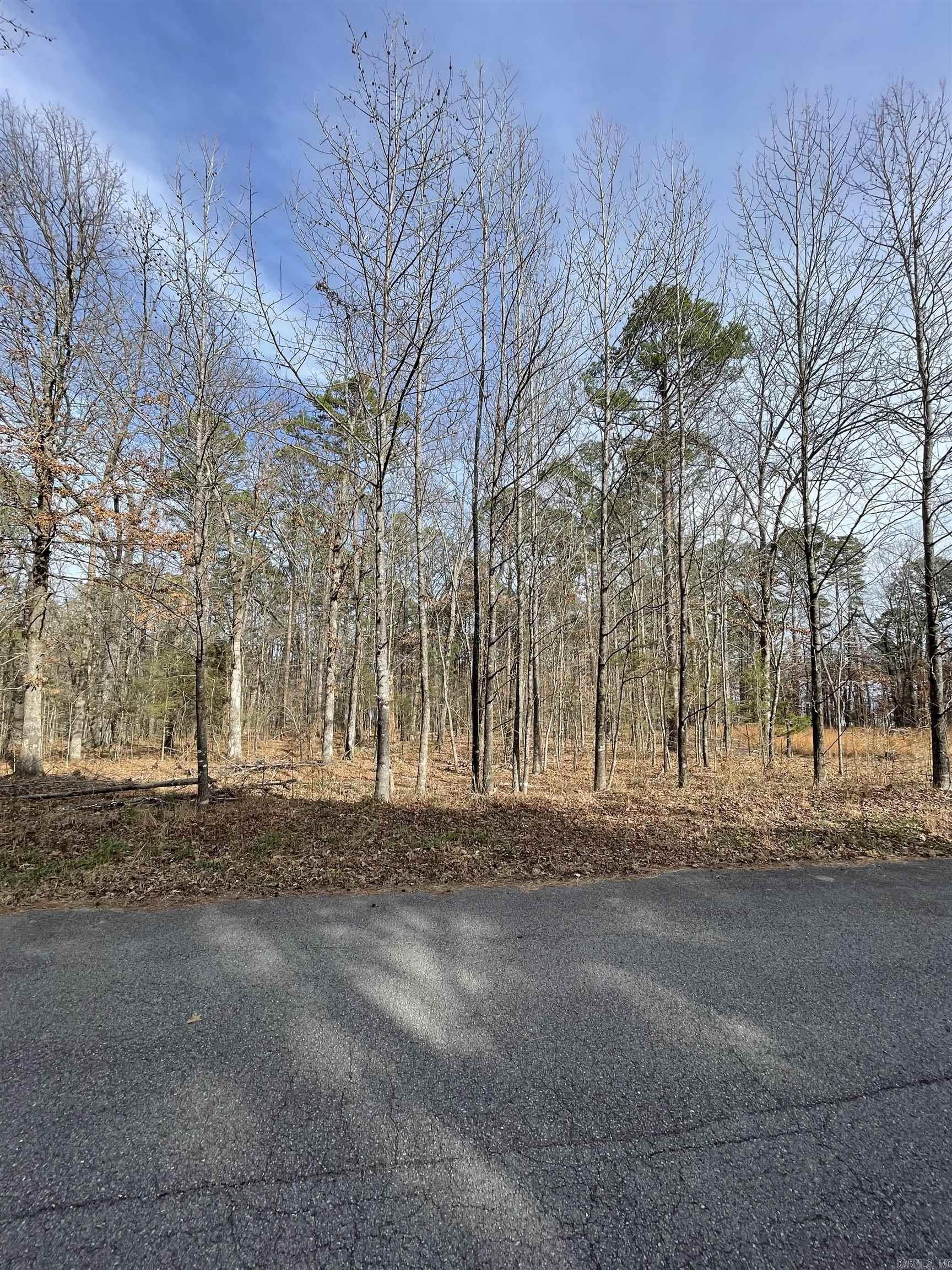 Silver Shores at Tannenba - Land