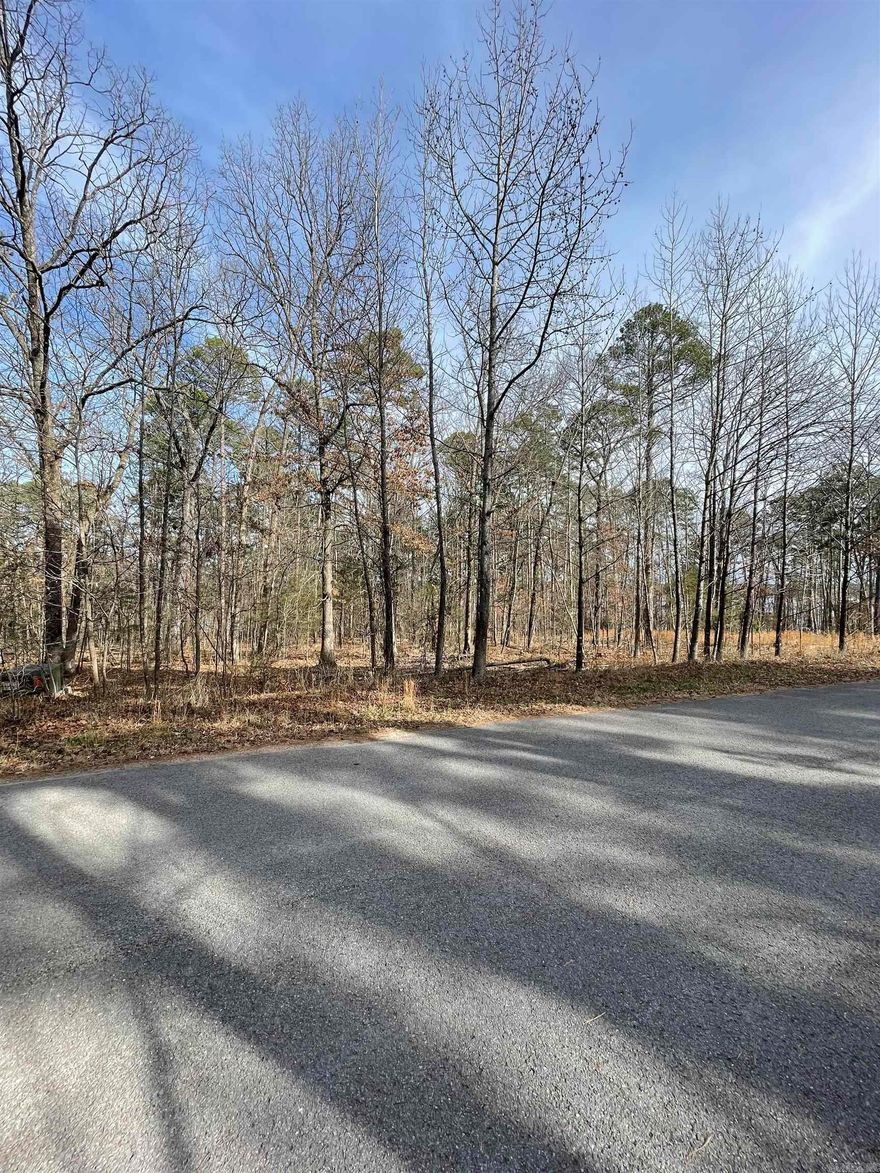If you are seeking an ideal lakefront lot on Beautiful Greers Ferry Lake check this lot out in Tannenbaum, this .55-acre waterfront property on Silver Shores Lane is currently the only lot available. It has successfully passed the perk test and has been surveyed, making it ready for you to build your dream home.