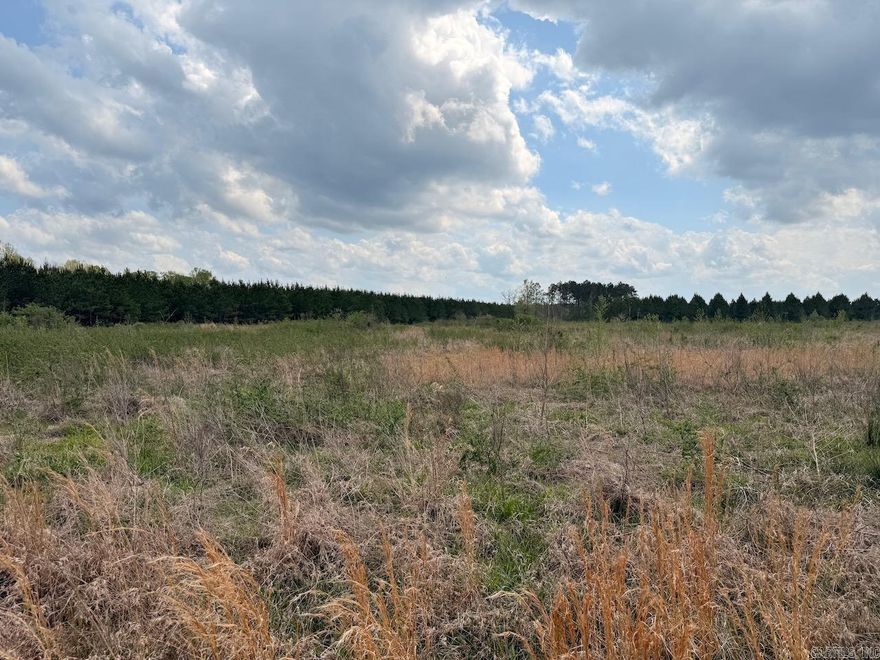 Nestled in the charming David’s Place subdivision, this stunning 6.75-acre parcel offers the perfect canvas for your dream home. With ample space to design a sprawling estate or a cozy retreat, the land is primed and ready for construction. Surrounded by natural beauty, the gently rolling terrain provides a serene backdrop, blending privacy with convenience. Whether you envision a modern masterpiece or a rustic haven, this expansive lot invites endless possibilities for creating a home tailored to your vision.  Subdivision covenants apply.