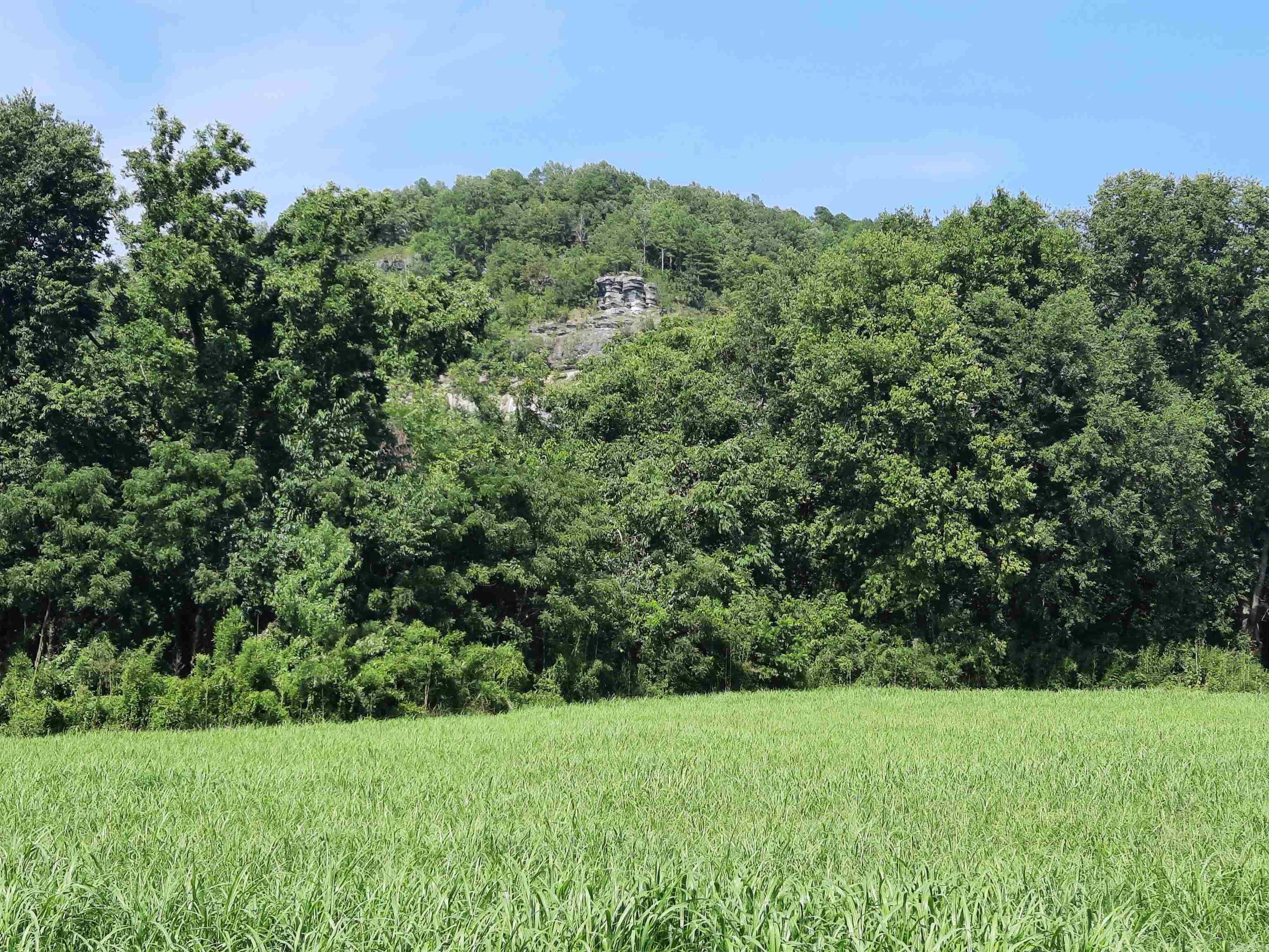 FOLL ROUND BOTTOM - Land