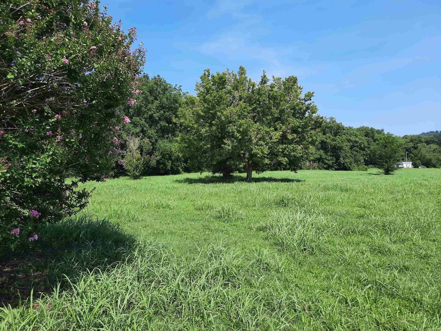 Check out this newly listed White River Lot,  very close to public boat launch, beautiful views, elect., water and fiber optic internet. Take a look at the one today.