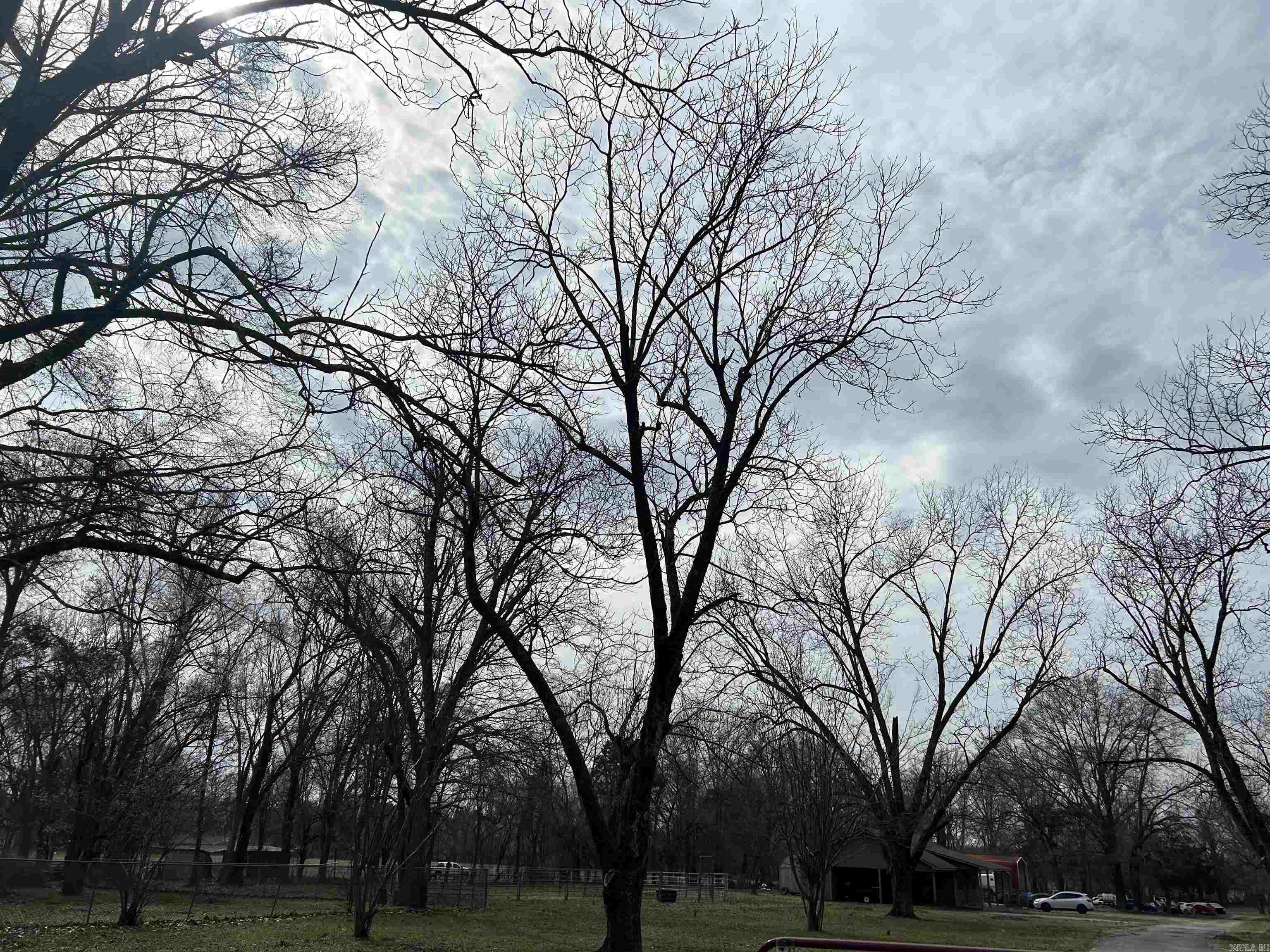 Phillips - Residential Income