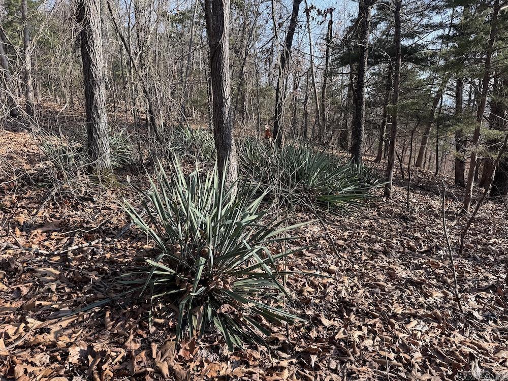 Not in Subdivision - Land