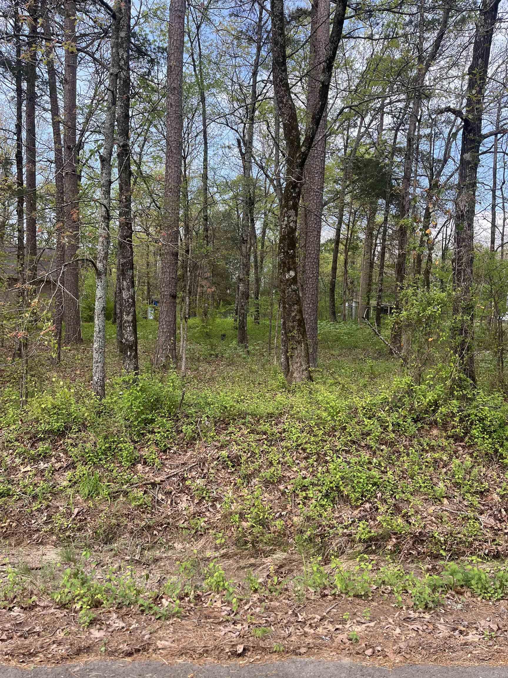 This property is close to everything a person could want. Shopping, a hospital, public schools, a library, restaurants, medical clinics. With Grees Ferry Lake being close by to enjoy swimming, camping, fishing, hiking, biking, skying, and much more exciting adventures can become a reality.