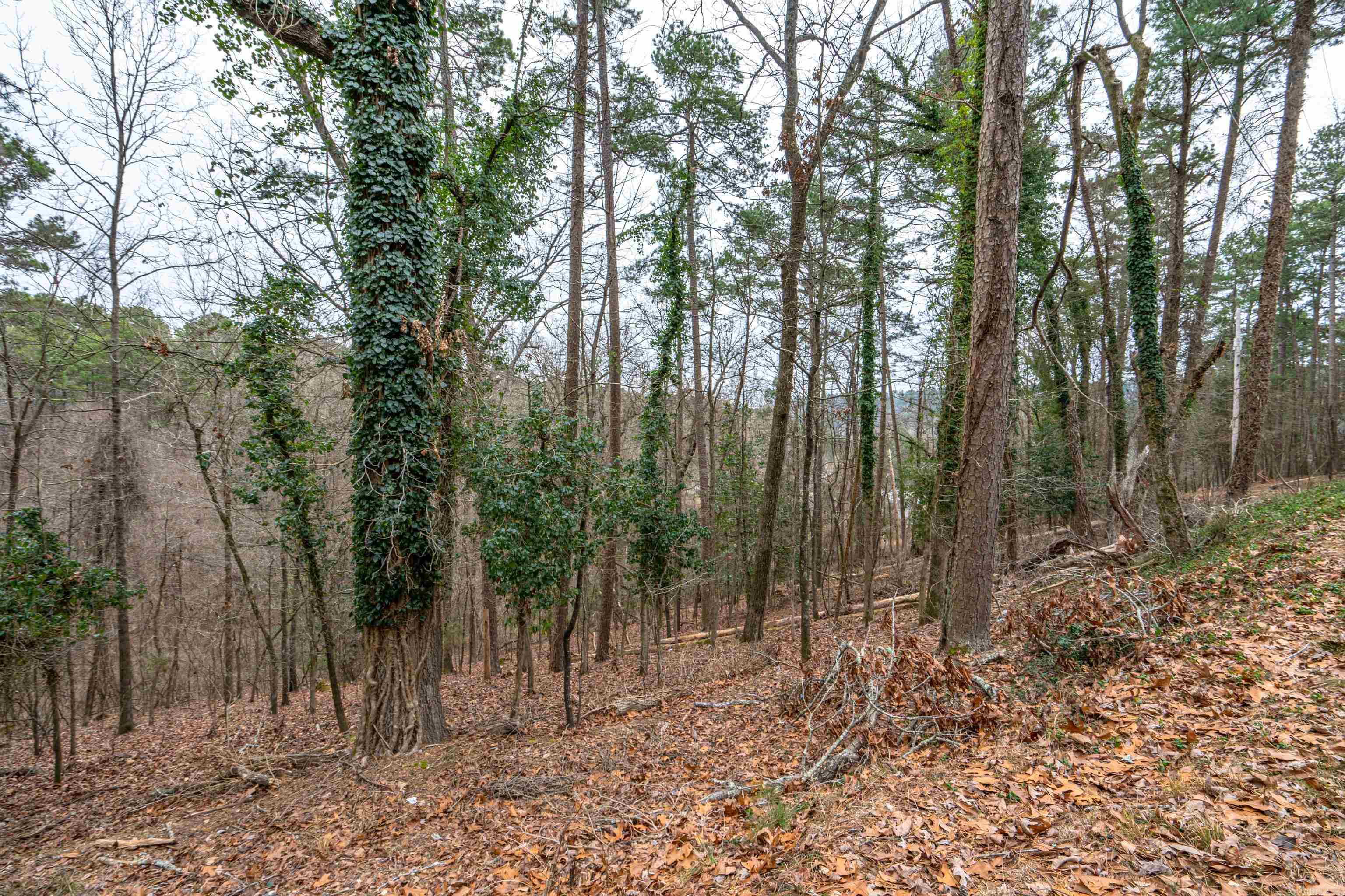 Nestled just minutes from downtown Hot Springs, this rare 7.25-acre gem offers the perfect combination of privacy and accessibility. Located in a serene setting, the property directly borders the iconic Hot Springs National Park, giving you exclusive access to miles of trails, lush forest scenery, and natural beauty right in your backyard. This expansive parcel features gently rolling terrain, providing a picturesque canvas for your dream home, vacation retreat, or potential development. The land is partially wooded, offering a tranquil atmosphere with a blend of mature trees and open spaces, ideal for those who love nature and outdoor activities. With its proximity to downtown Hot Springs, you’ll enjoy easy access to the area’s vibrant dining, shopping, and entertainment options, as well as renowned attractions like Bathhouse Row and the thermal springs. Whether you’re seeking a peaceful sanctuary or an investment opportunity, this property offers endless possibilities in a prime location. Don’t miss your chance to own a slice of paradise near one of Arkansas’s most treasured landmarks!