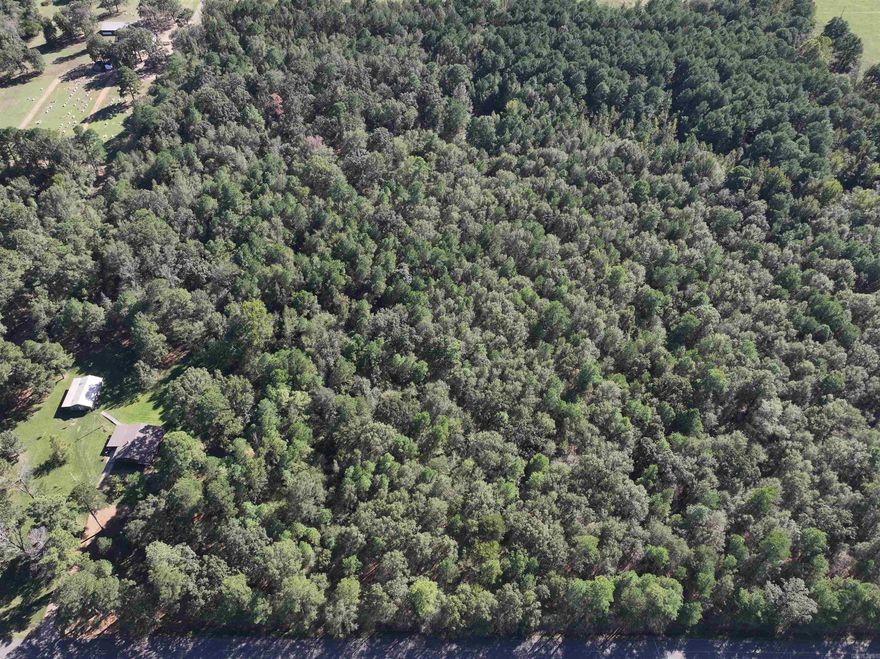 Beautiful land! This gorgeous 10± acres has been treasured for generations and is now ready for new possibilities. Walk among the majestic pine trees, enjoy the small pond, and bring your vision to life on this versatile acreage. With plenty of level ground and open space, the property offers a blank canvas for building, recreation, or developing a rural setup tailored to your needs.