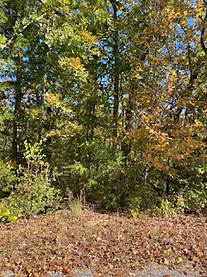 Undeveloped South Fork River Bluff Lot - Wonderful place to build your year-round get away place. Great view every season! Enjoy 2 Rivers, 7 lakes, several walking trails, numerous parks, shopping, recreational Centers, and 2 Champion Golf Courses with owning this property.