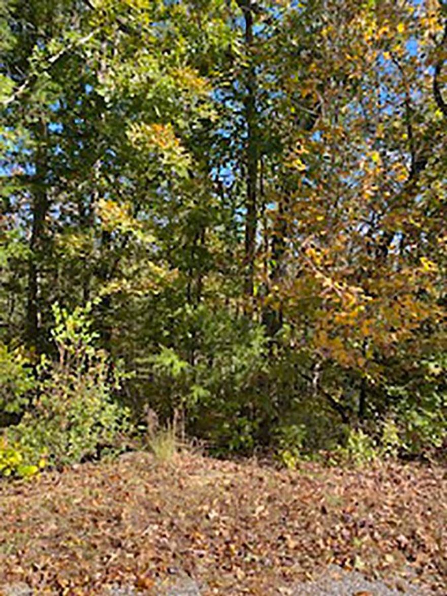 Undeveloped South Fork River Bluff Lot - Wonderful place to build your year-round get away place. Great view every season! Enjoy 2 Rivers, 7 lakes, several walking trails, numerous parks, shopping, recreational Centers, and 2 Champion Golf Courses with owning this property.