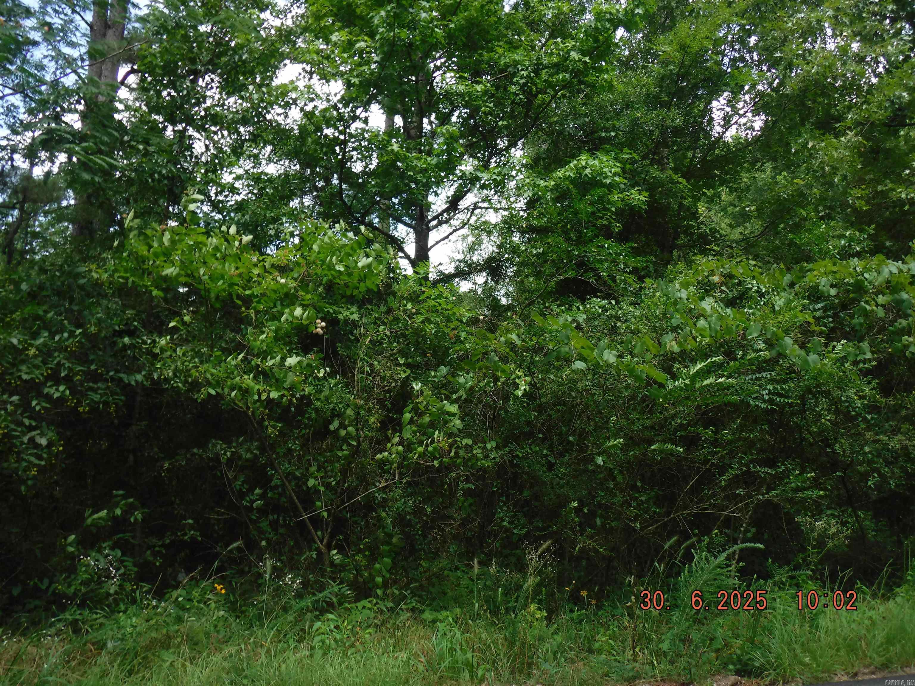 Raw land in Mountain Pine School district. Conveniently located between Crystal Hill and Clear Creek (Mt. Pine Rd). Bring your home plans or mobile home. No utilities on property.