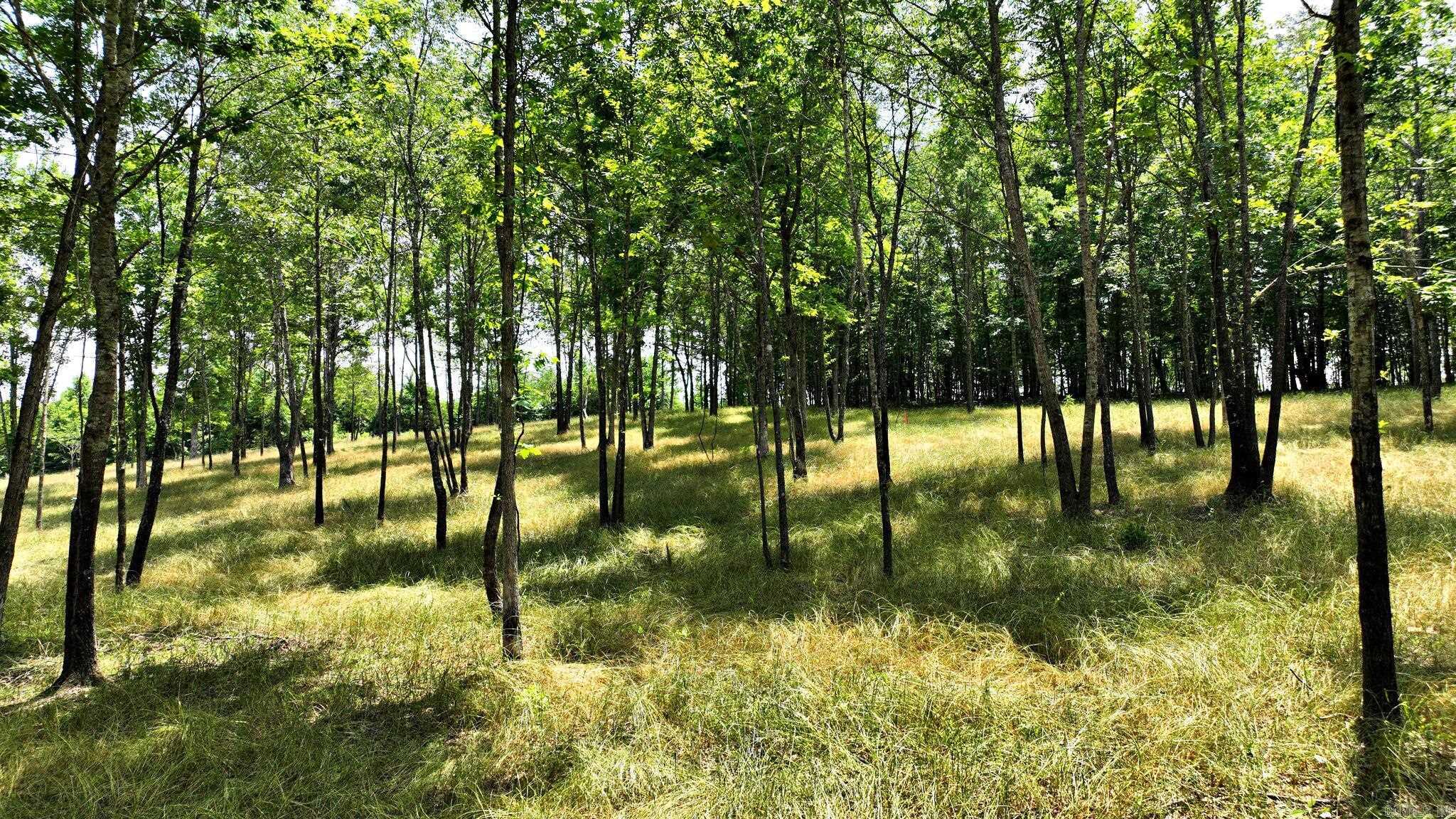 Alder Springs-Rocky - Land