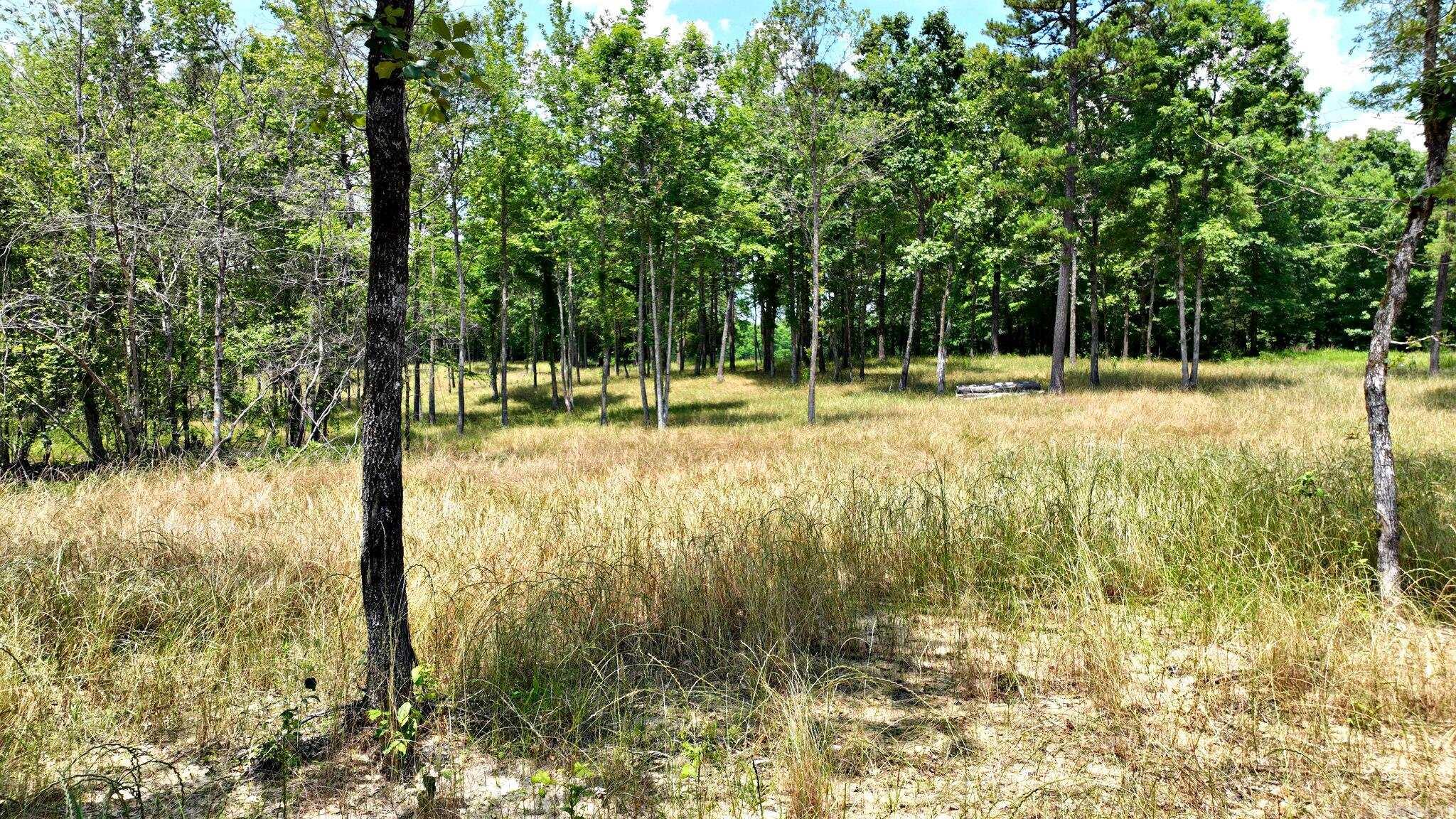 Alder Springs-Rocky - Land