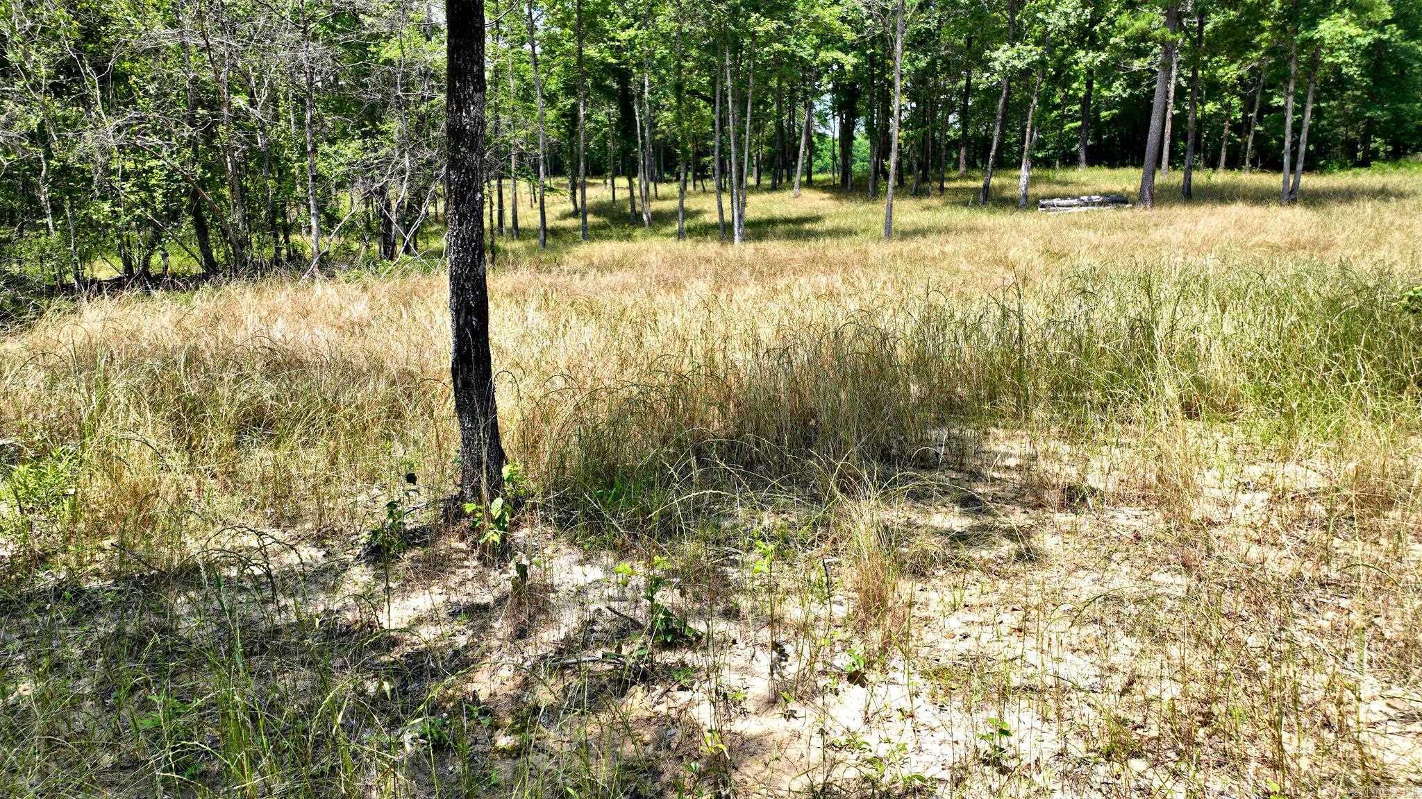 Alder Springs-Rocky - Land