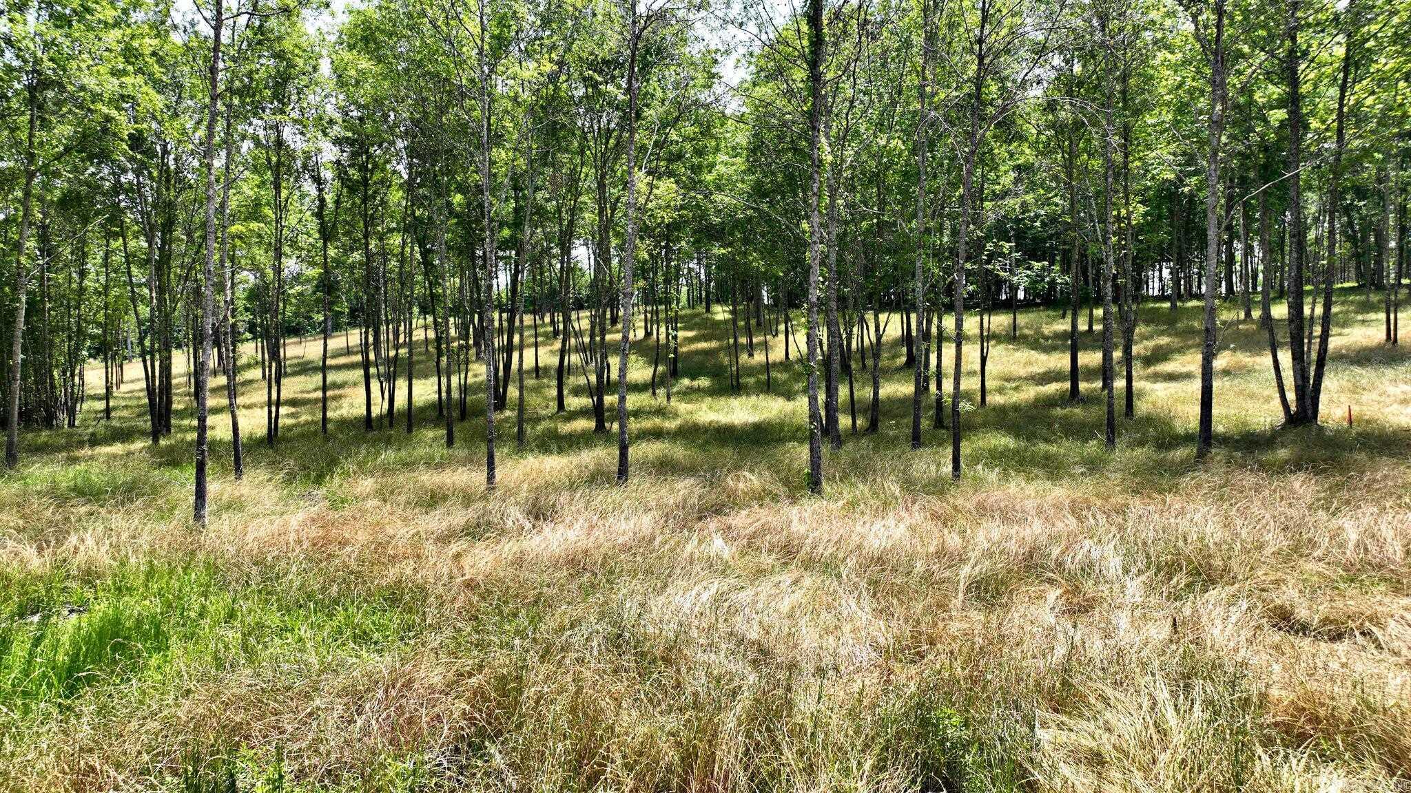 Alder Springs-Rocky - Land