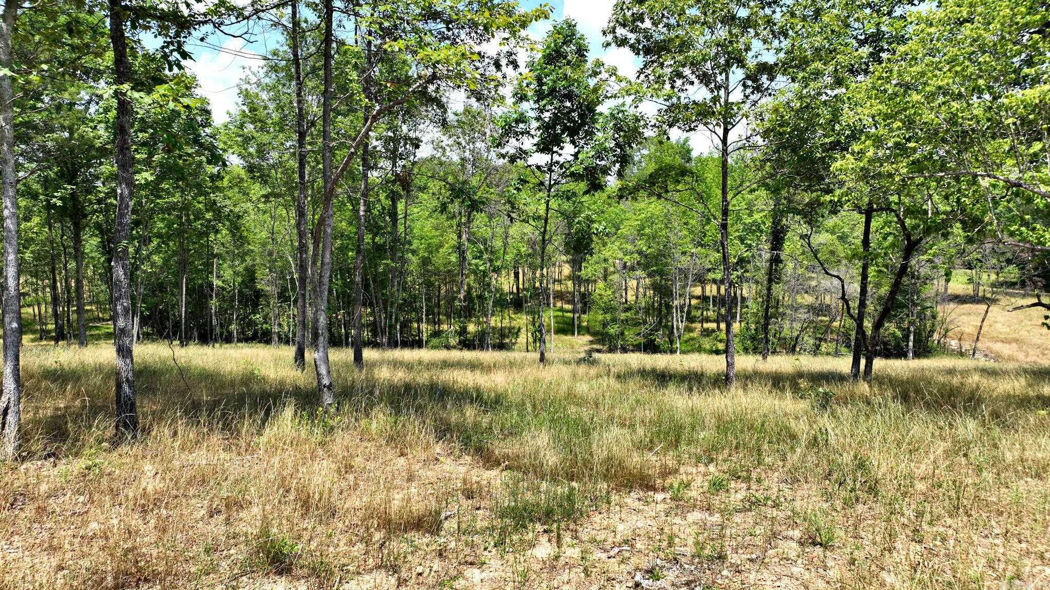 Alder Springs-Rocky - Land