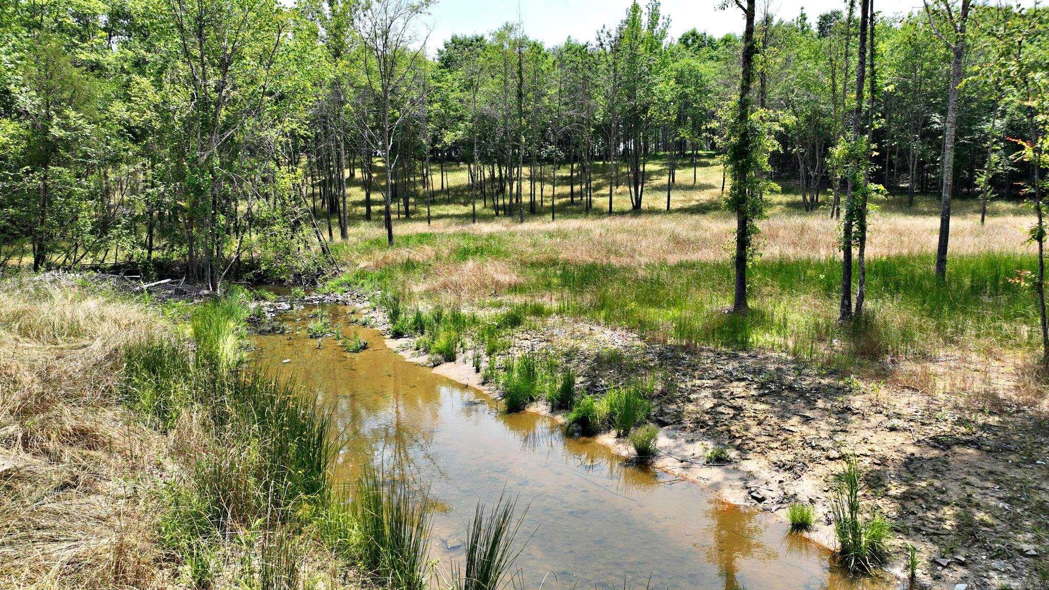 Alder Springs-Rocky - Land