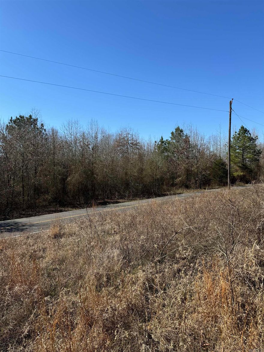 Nice flat property ready to build your dream home on or subdivide into smaller lots.  Property is wooded.  Mixture of small popular trees with small to medium hardwoods at the front and larger hardwood trees toward the back.  The property has a pond.  No restrictions!  Turn it into the property that you have always wanted!  Property is withing minutes of Walmart in Cabot or Harps in Vilonia.