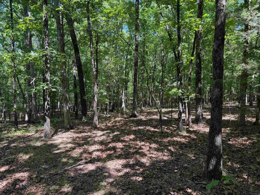 OVERLOOK DR, BRADFORD, AR 72020 - Image 7ffadf060c2e6f403a38523bad0dc7d2/1915476671
