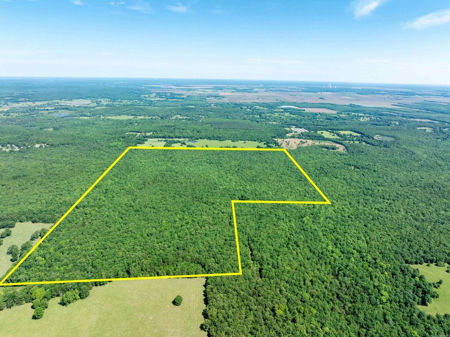 Premier Hunting Land in Independence County, Arkansas | Springs, Creek, Pond & Mature Timber This incredible hunting tract in Independence County, Arkansas offers everything serious hunters are looking for—abundant wildlife, year-round water, and seclusion. The property is loaded with white-tailed deer, turkey, black bear, quail, rabbit, and squirrel, making it a true multi-species hunting destination. What sets this property apart is the exceptional water features, including multiple natural springs flowing throughout the land, feeding into spring creeks, along with a pond. Properties with this kind of consistent water source are rare and highly desirable for sustaining wildlife. The land is covered in mature timber, providing excellent cover and habitat. Established trails run throughout the property, allowing access by ATV or side-by-side, though some areas could use light clearing. Access is via a legal easement, offering added privacy and limited traffic—ideal for a controlled hunting environment. If you're looking for a private hunting retreat or recreational property, this one delivers. Hard to find, water-rich, and wildlife-loaded—don’t miss it.
