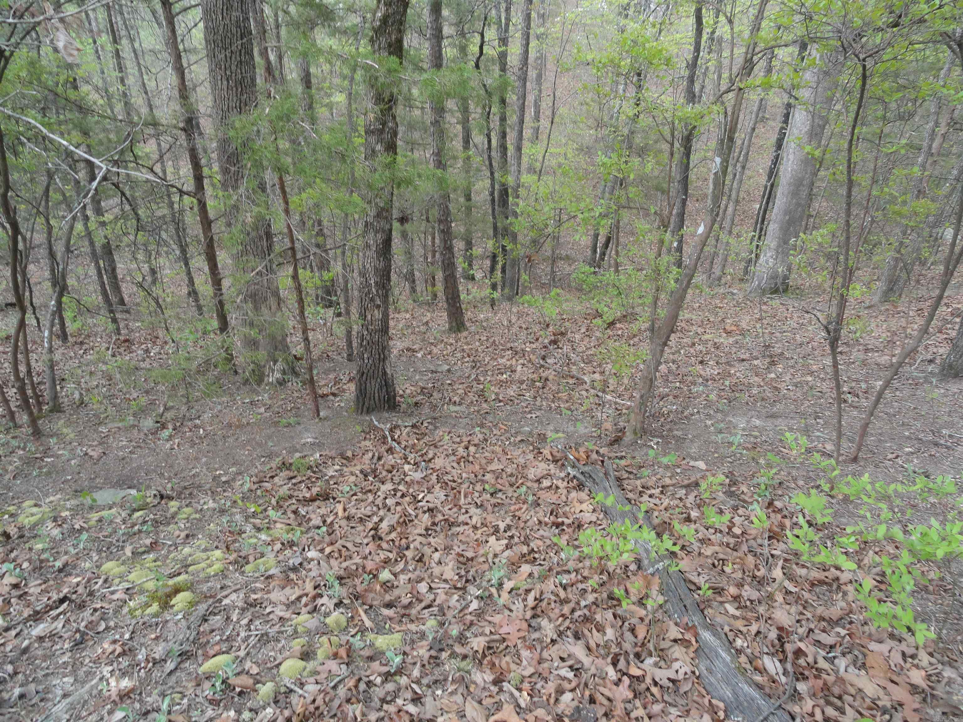 Hunter Mountain Estates - Land