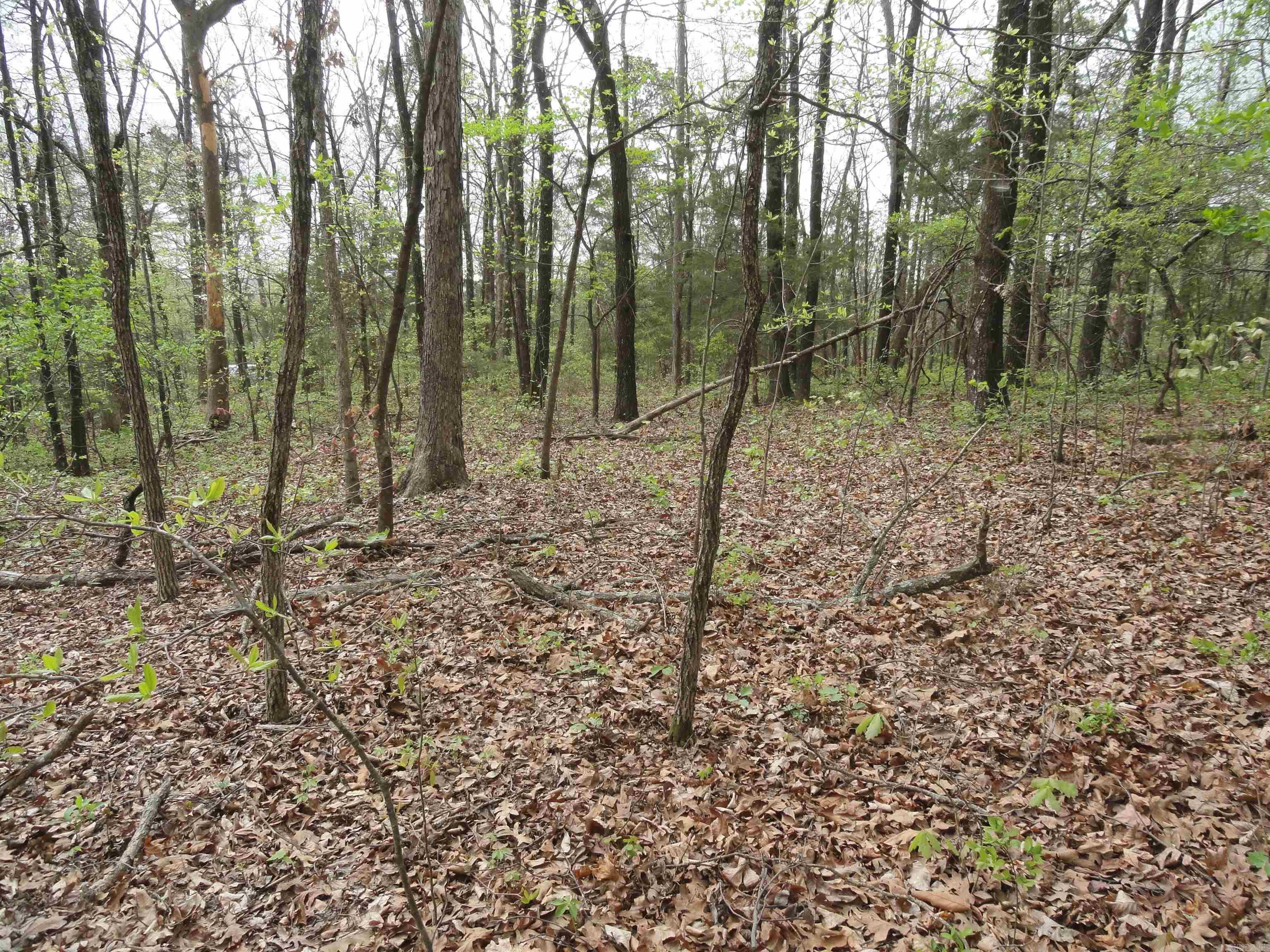 Hunter Mountain Estates - Land