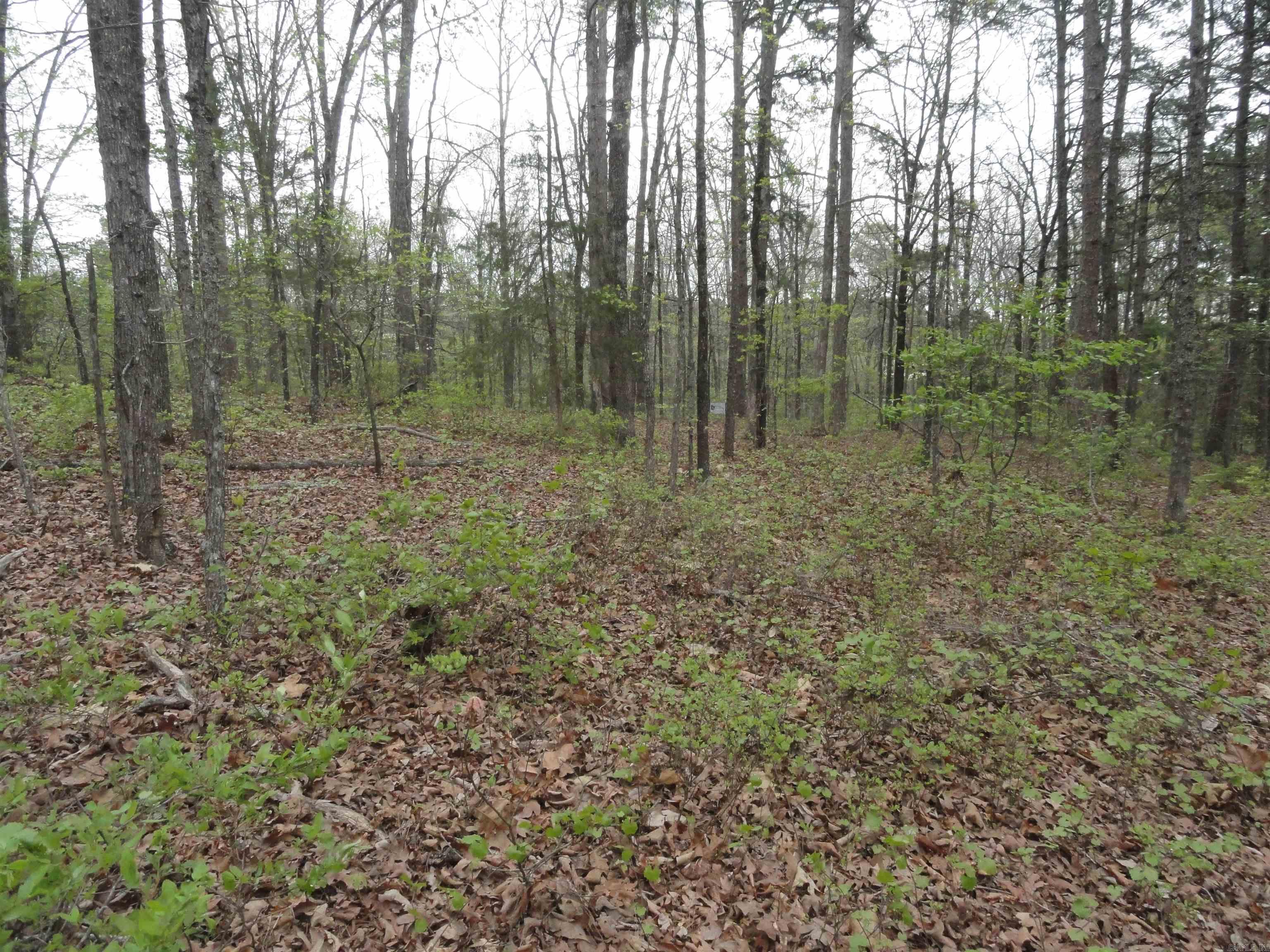 Hunter Mountain Estates - Land