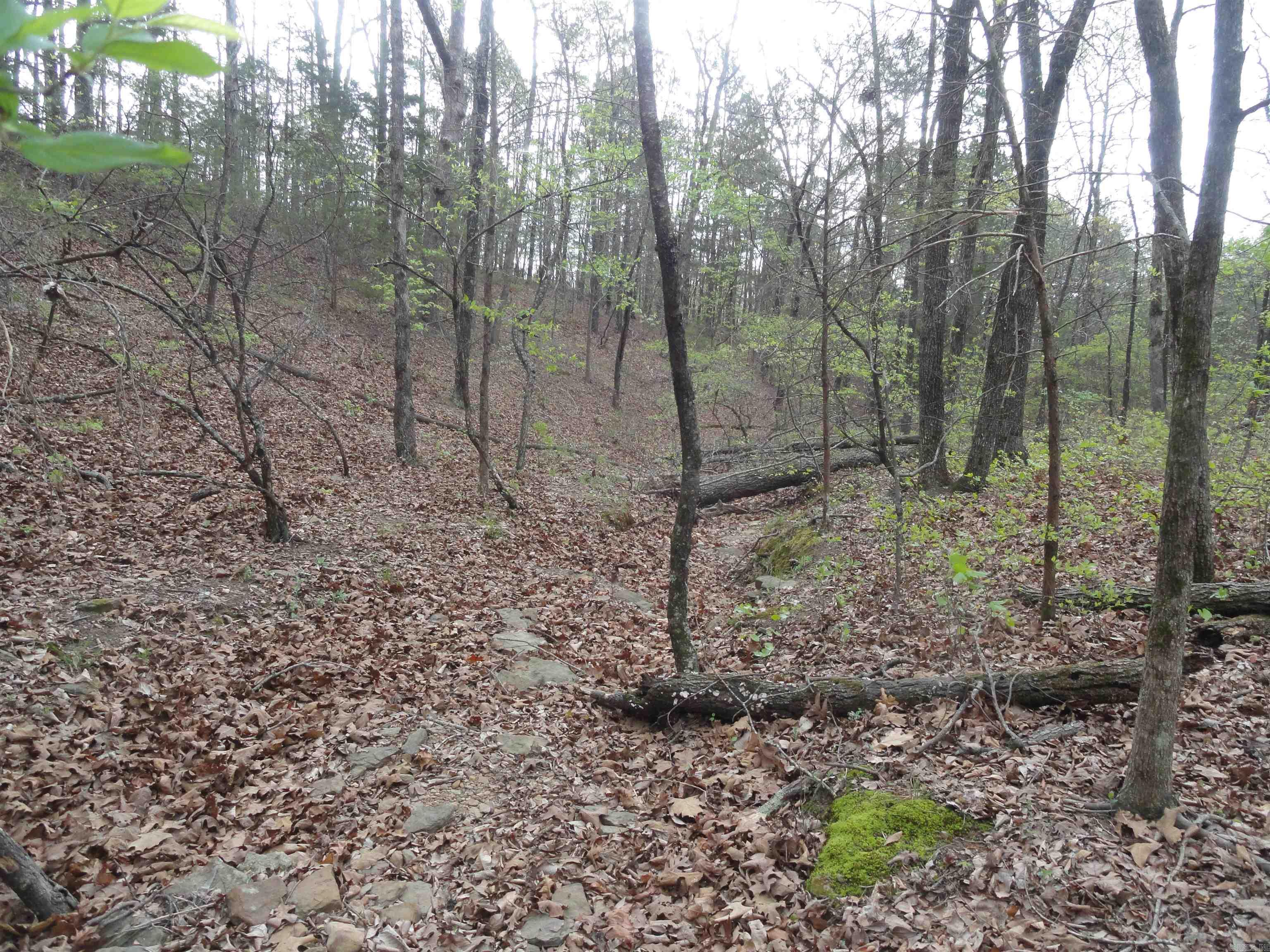 Hunter Mountain Estates - Land