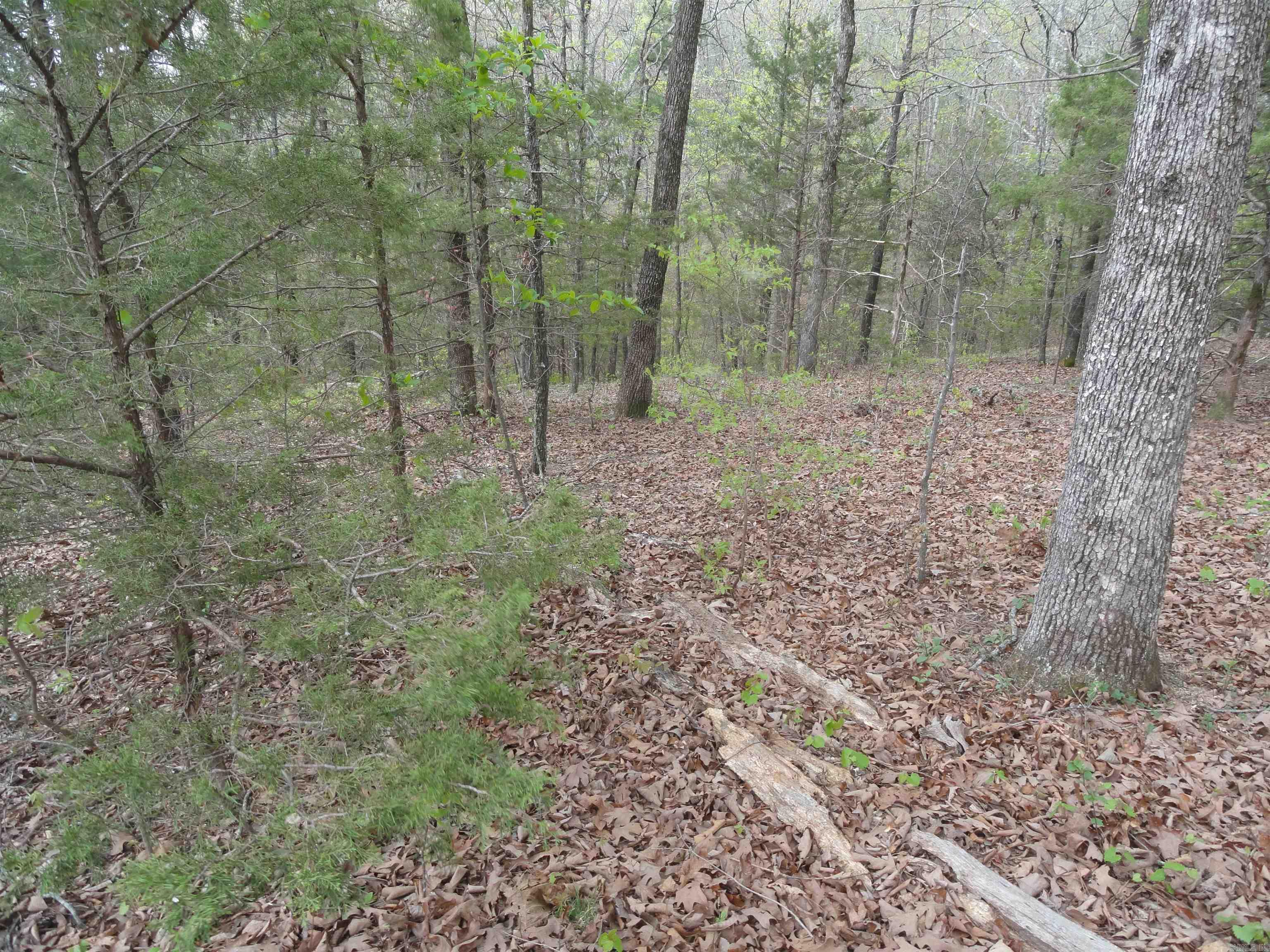Hunter Mountain Estates - Land