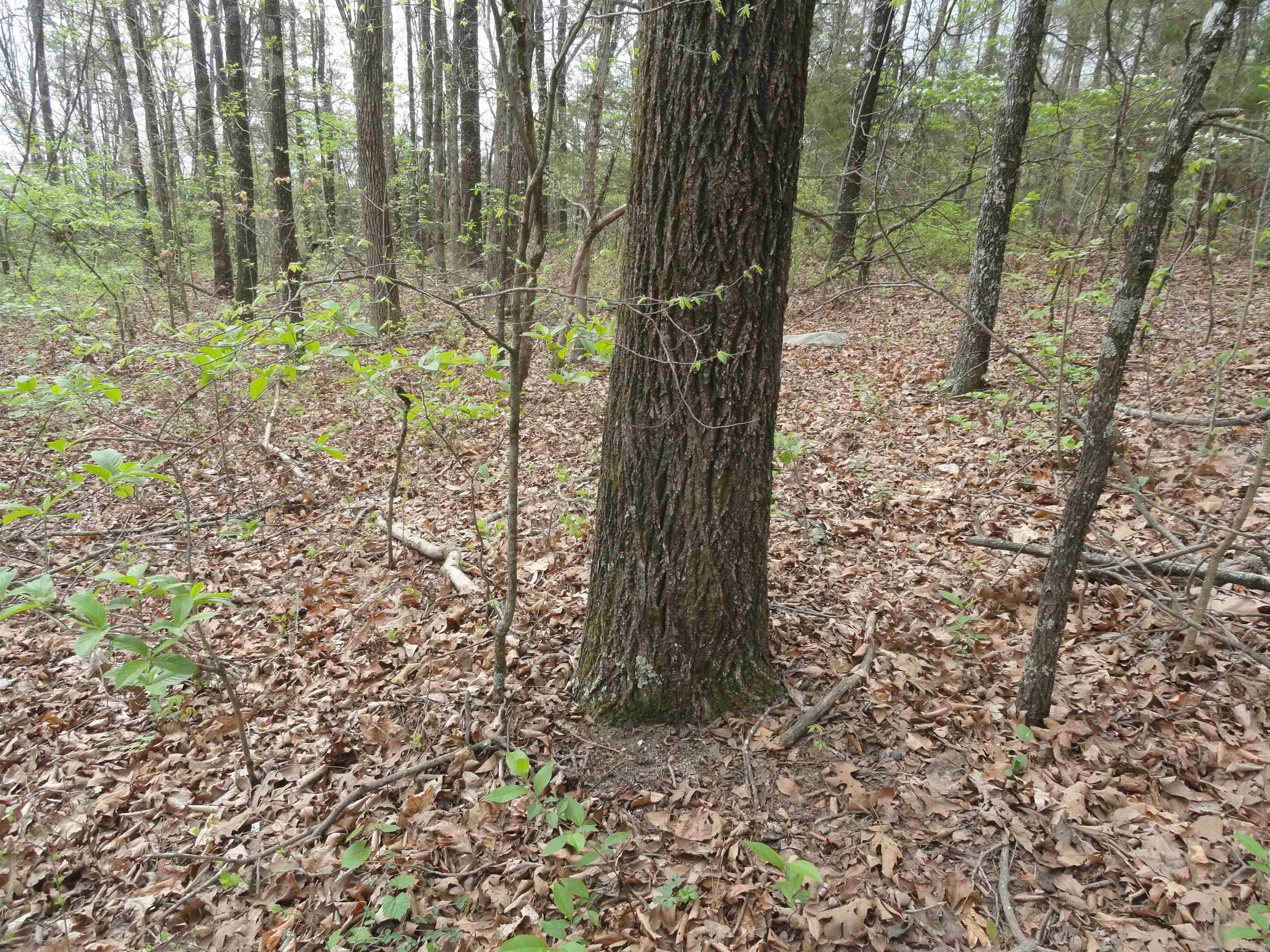 Hunter Mountain Estates - Land
