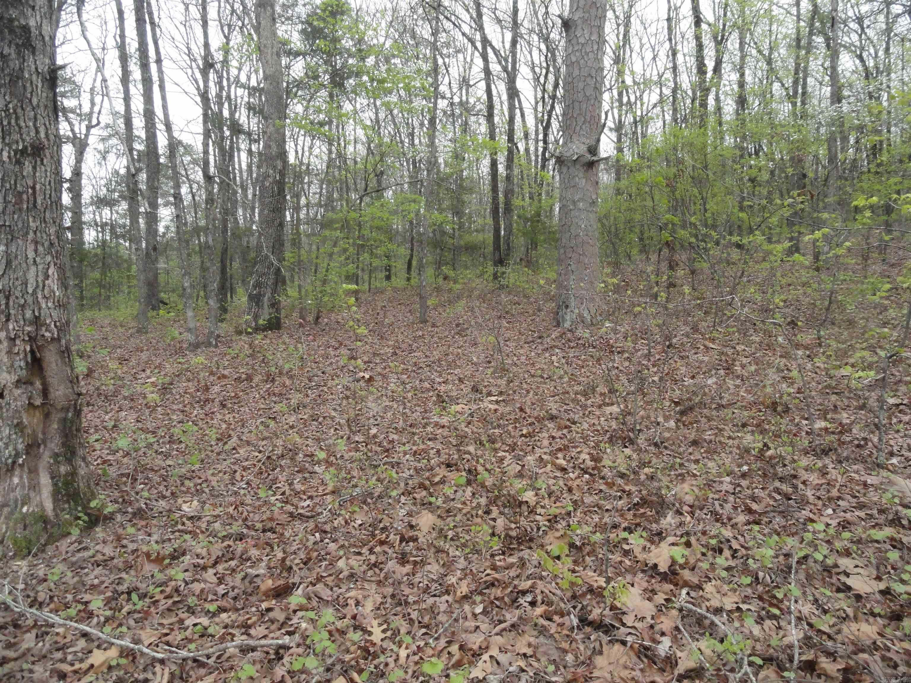 Hunter Mountain Estates - Land