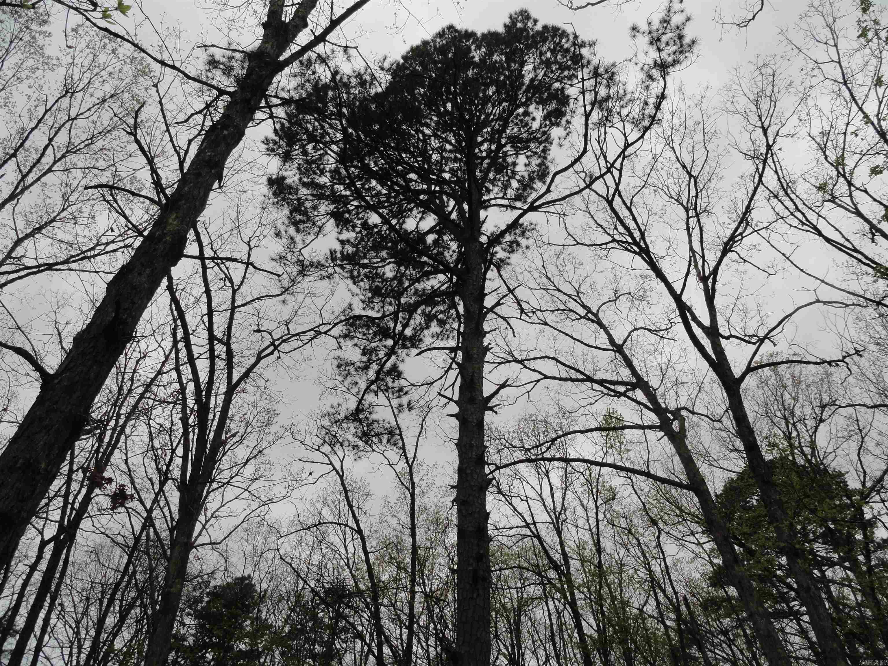 Hunter Mountain Estates - Land