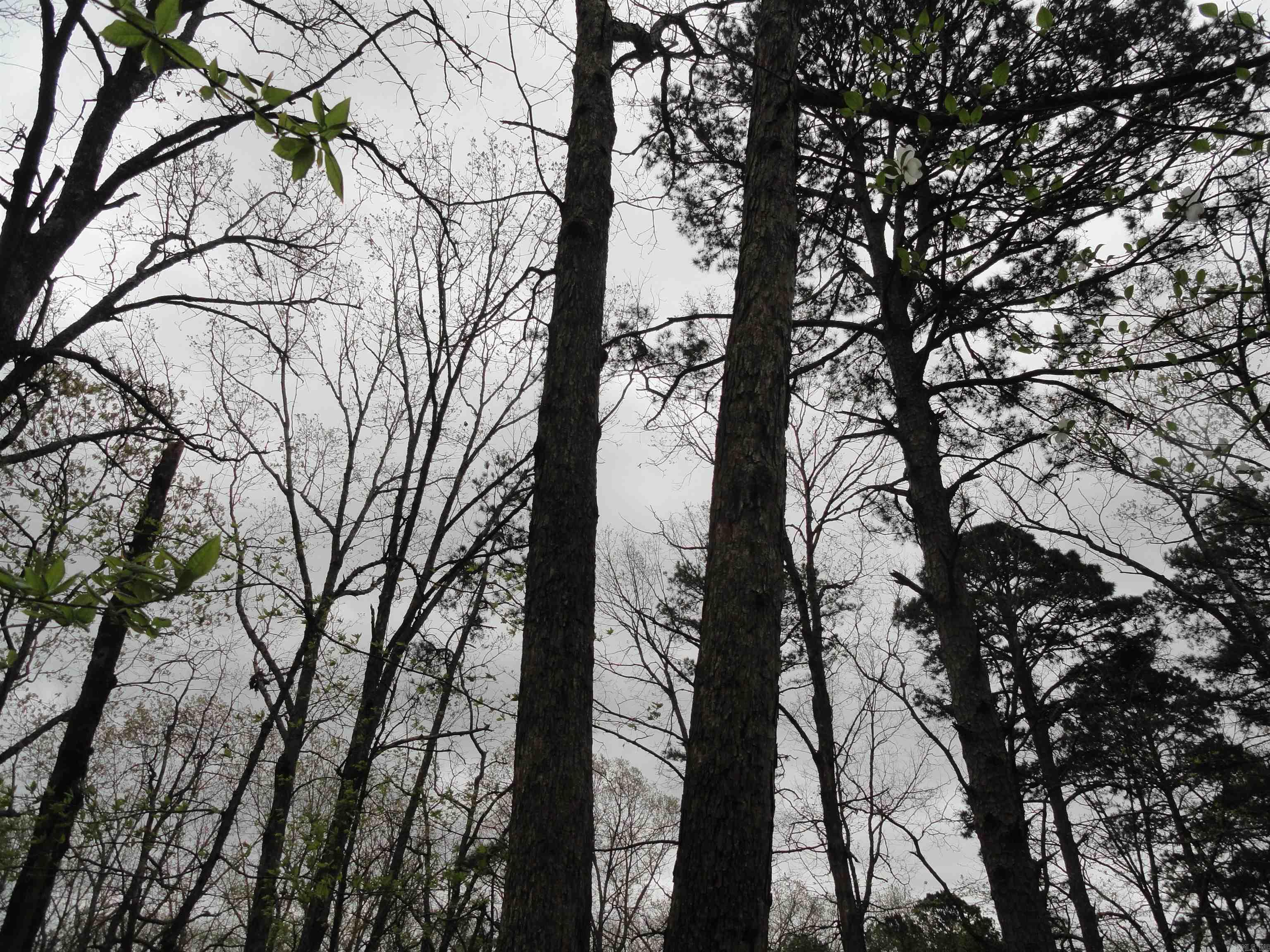 Hunter Mountain Estates - Land