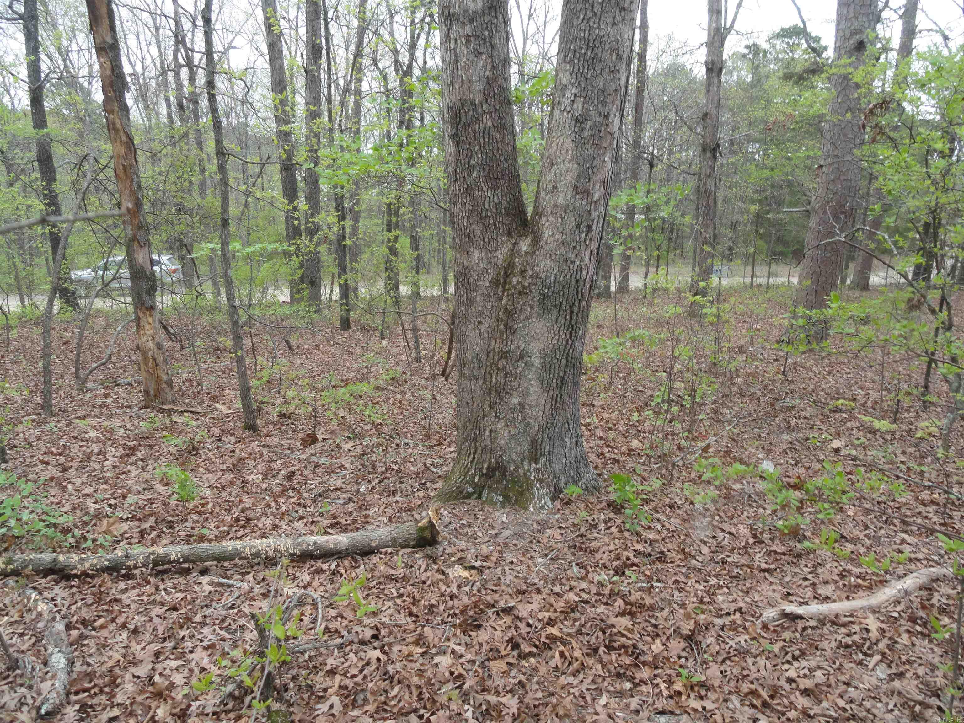 Hunter Mountain Estates - Land