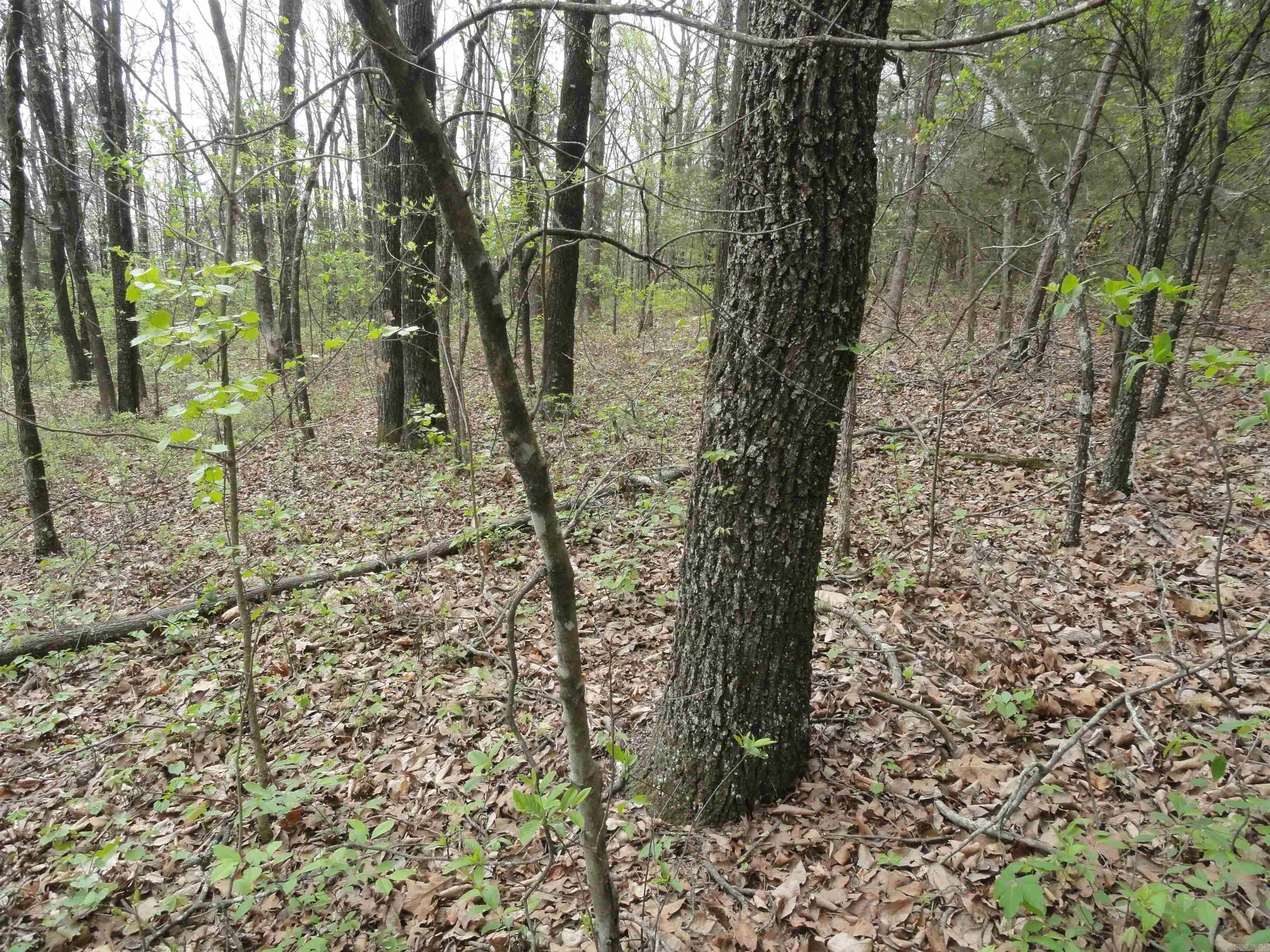 Hunter Mountain Estates - Land