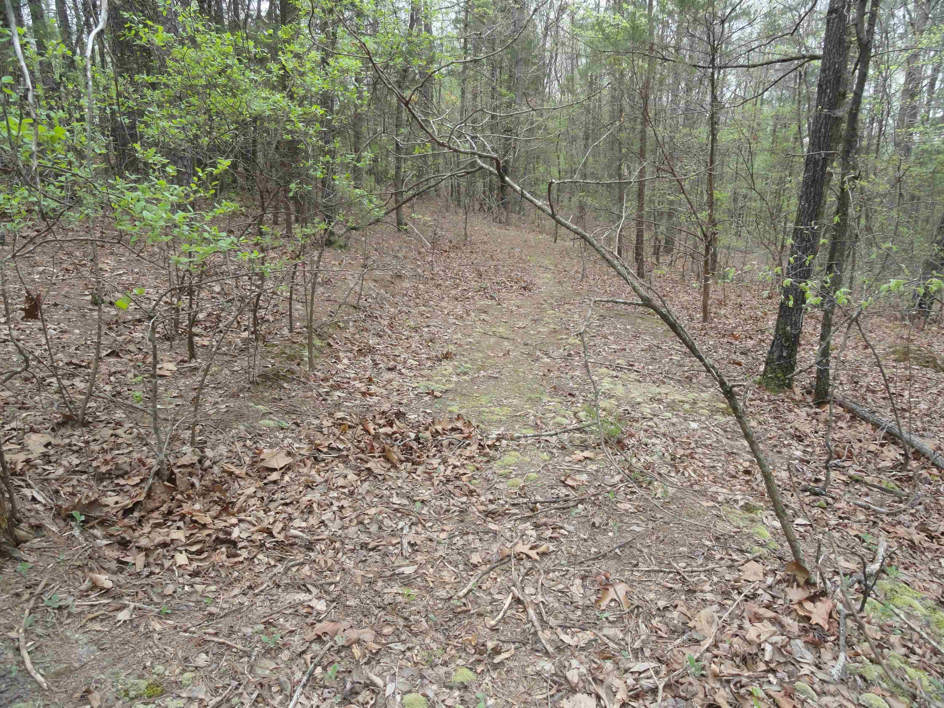 Hunter Mountain Estates - Land