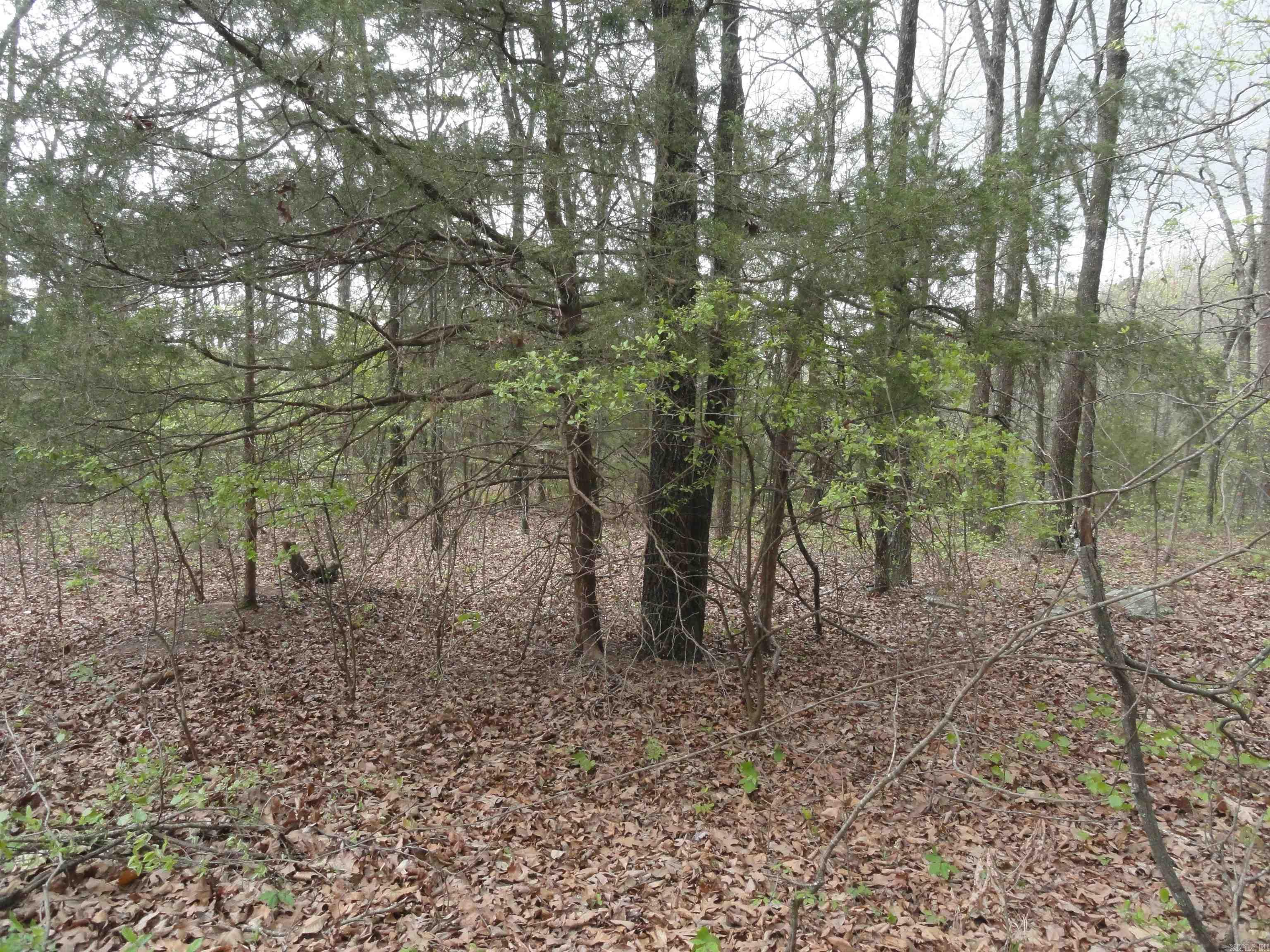 Hunter Mountain Estates - Land