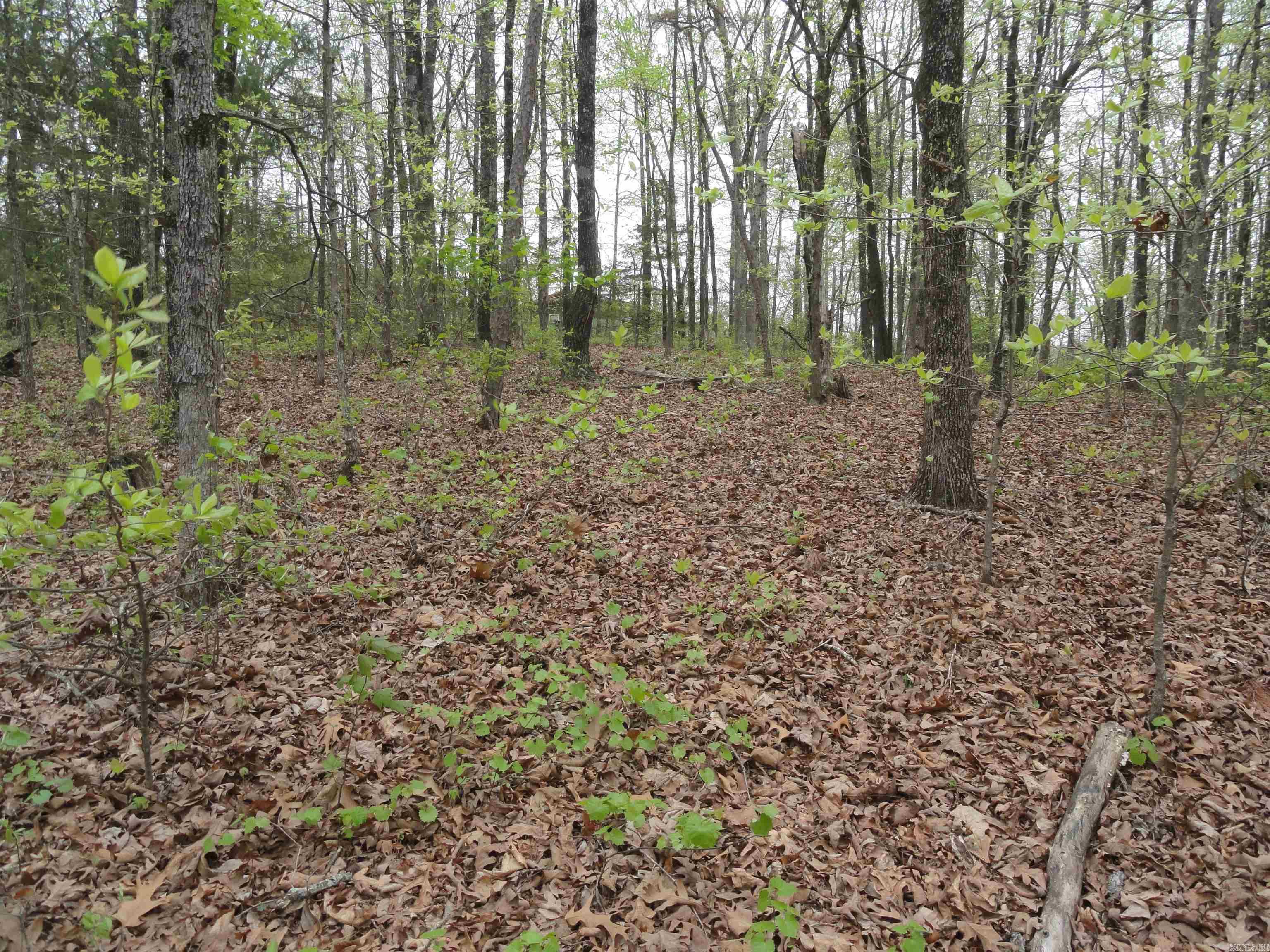 Hunter Mountain Estates - Land