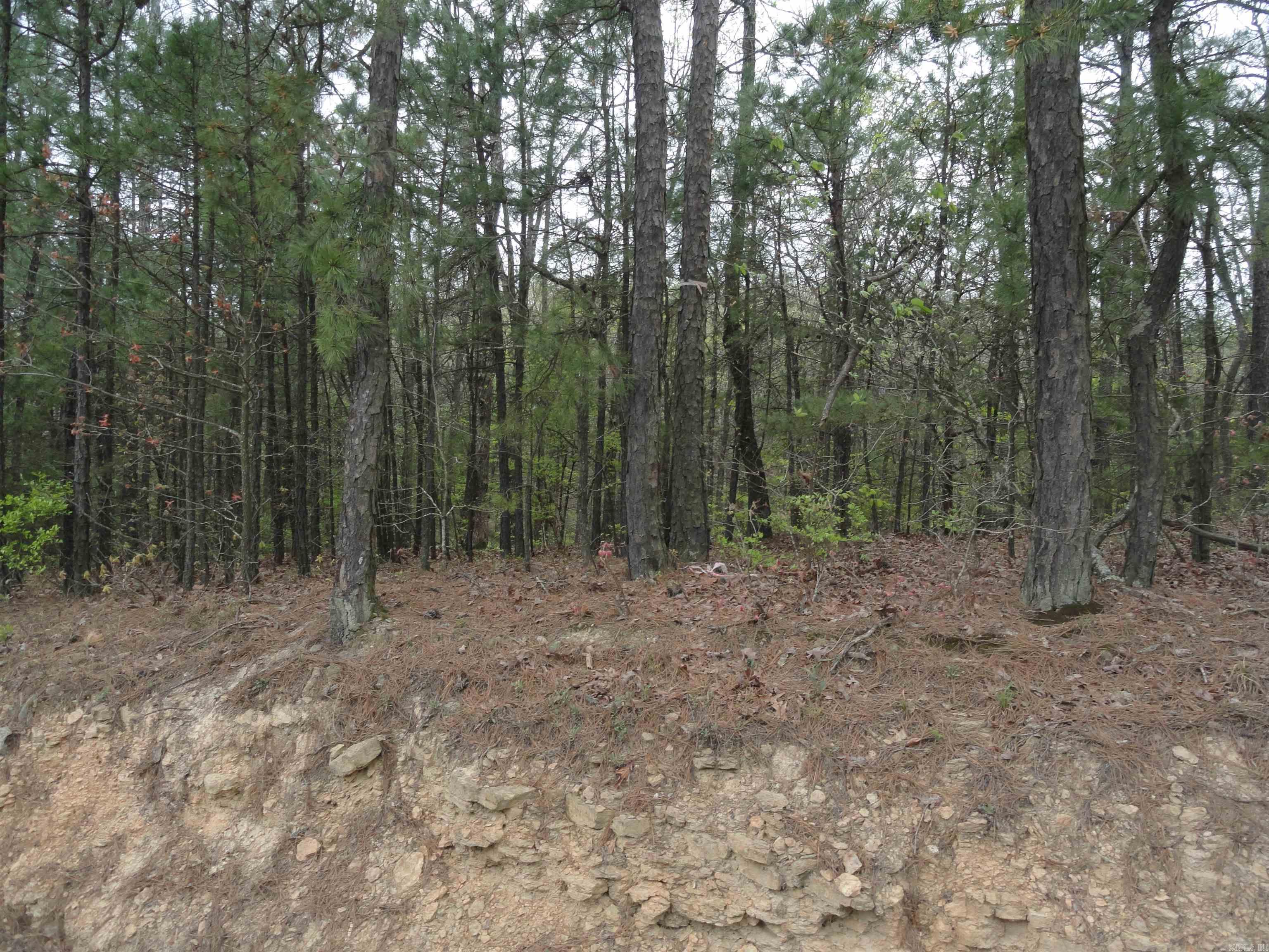 Hunter Mountain Estates - Land