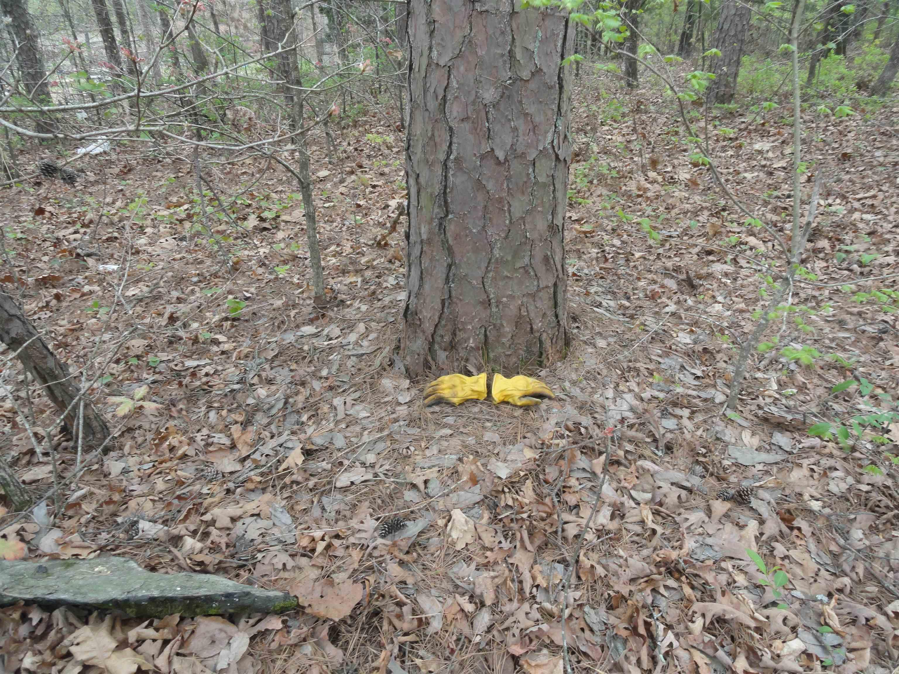 Hunter Mountain Estates - Land