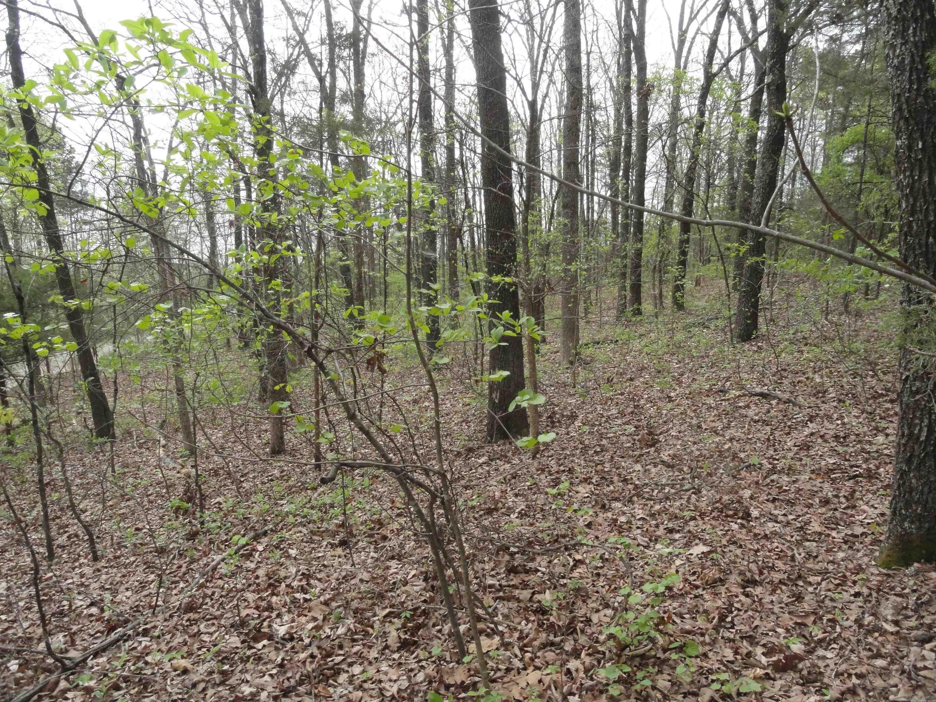 Hunter Mountain Estates - Land