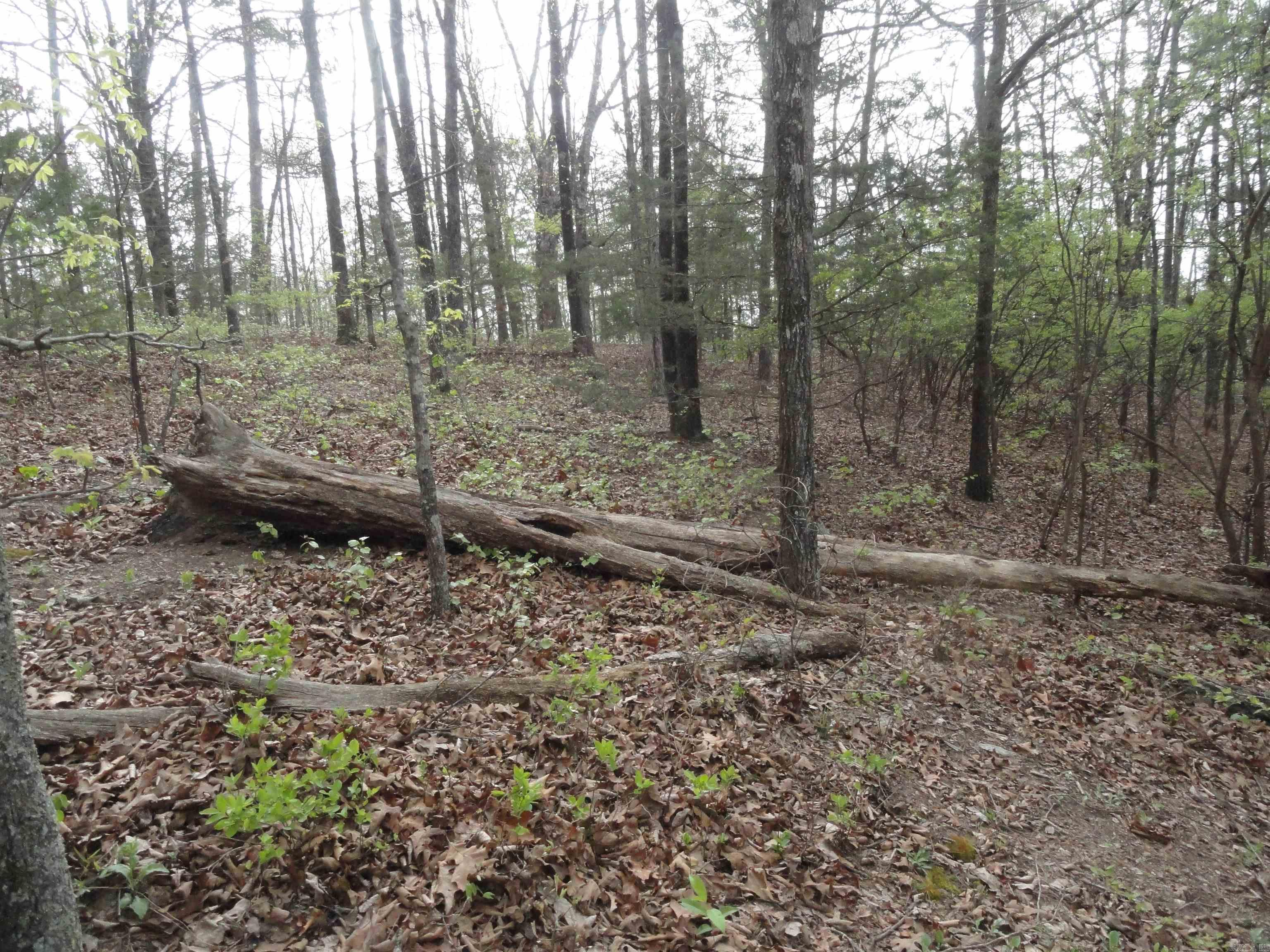 Hunter Mountain Estates - Land