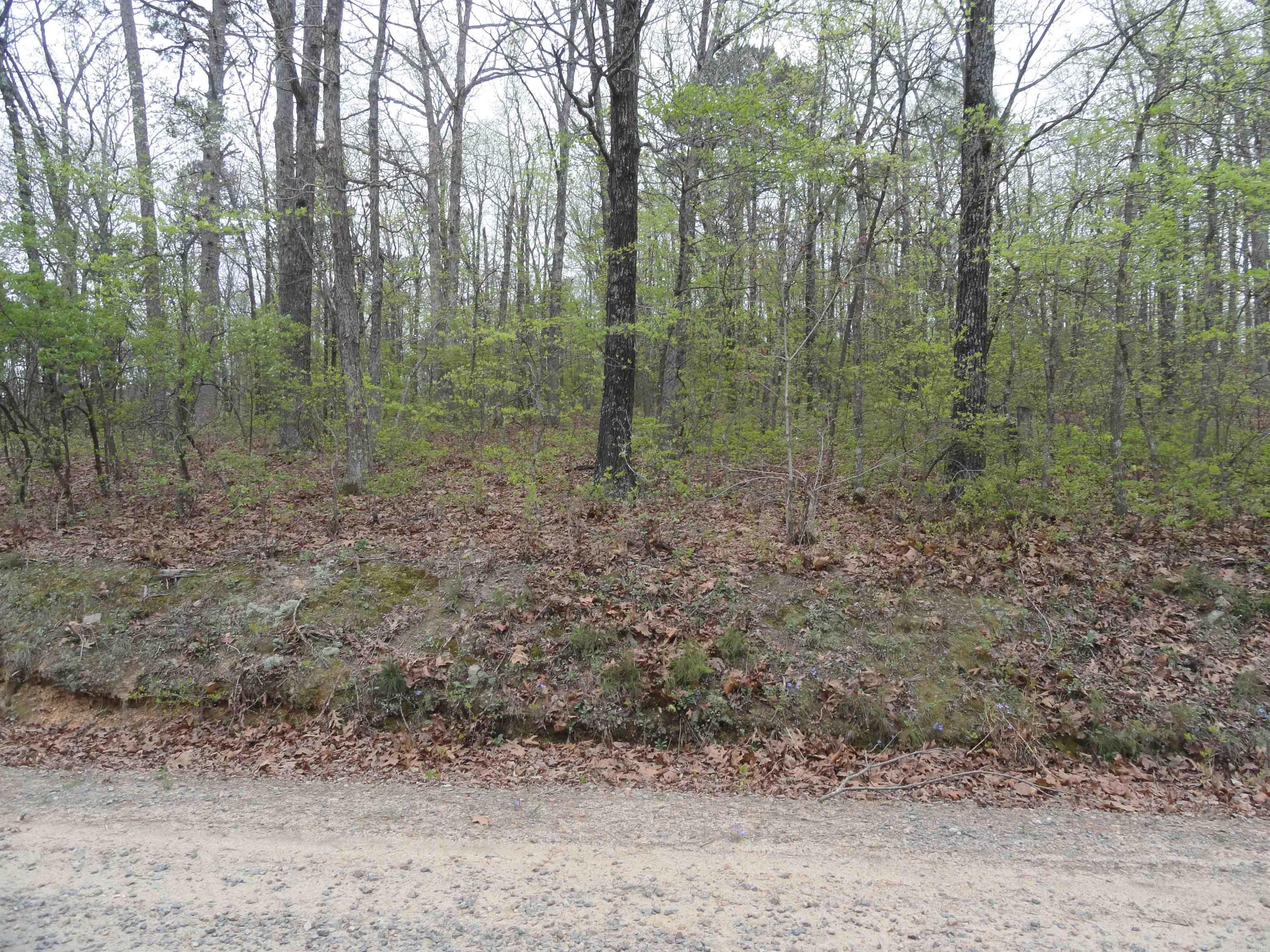 Hunter Mountain Estates - Land