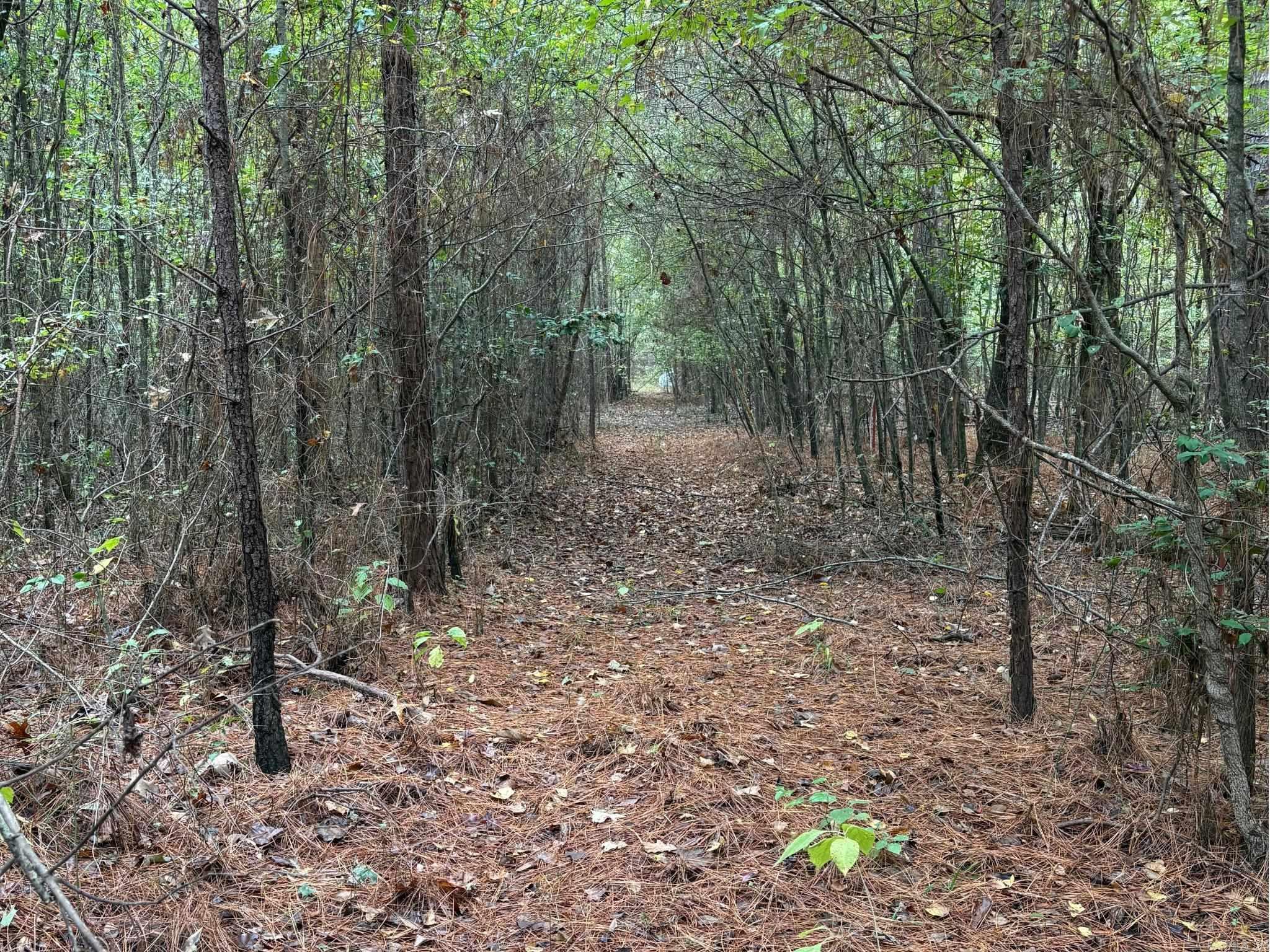 Metes & Bounds - Land