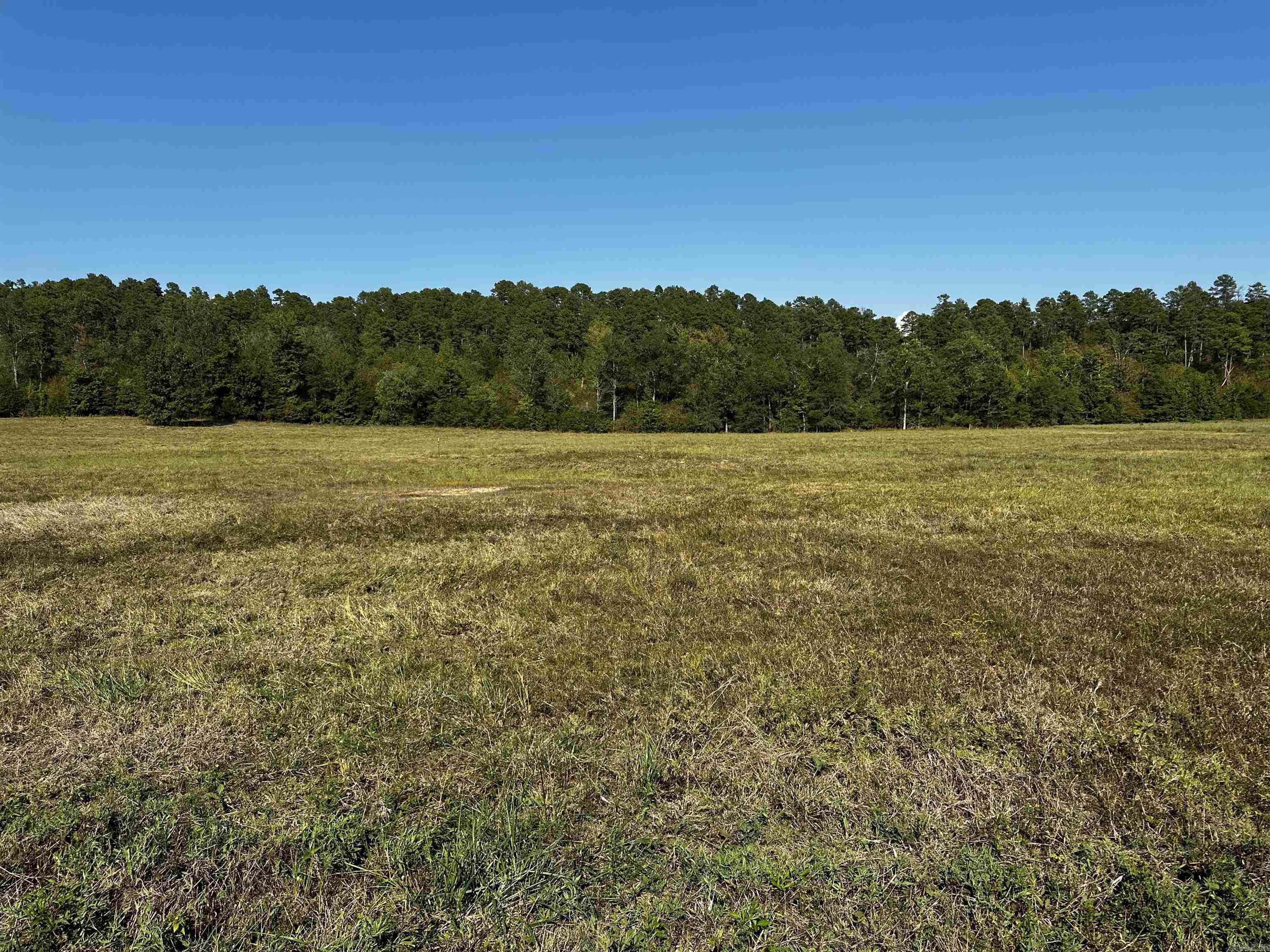 Reva's Retreat is surrounded by the National Forest and Irons Fork Creek, 1 mile N of Lake Ouachita + 2 mi. from Launching ramp. The beautiful 100 acre development offers seclusion, unblemished, back-to-nature, spacious lots & River access w/some restrictions, incredible views, and underground electric. Fishing, kayaking, swimming, nature walks + trailhead for hiking are nearby, as well as amenities at HSV & Mt. Ida.