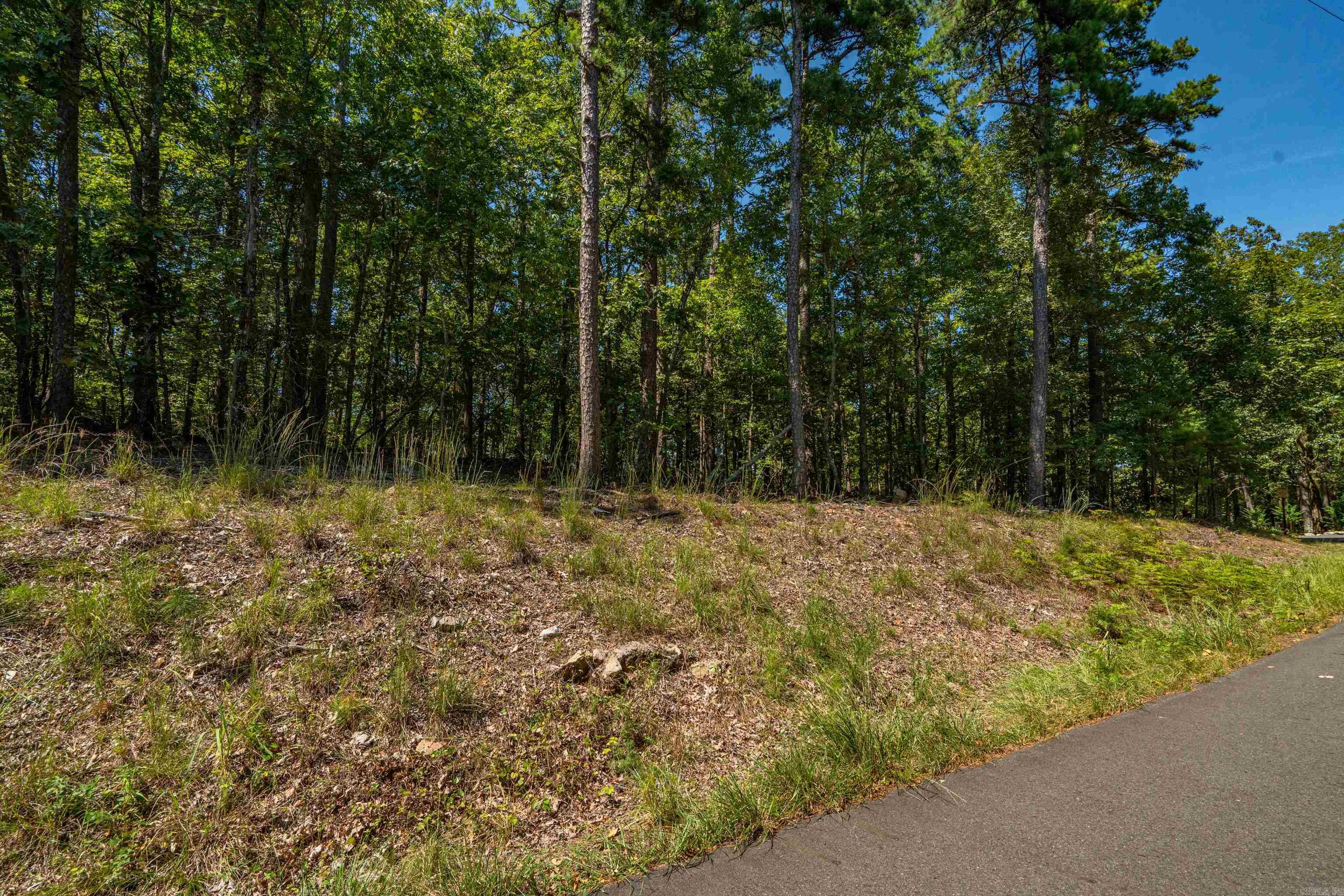 Lake Ouachita Shores - Land