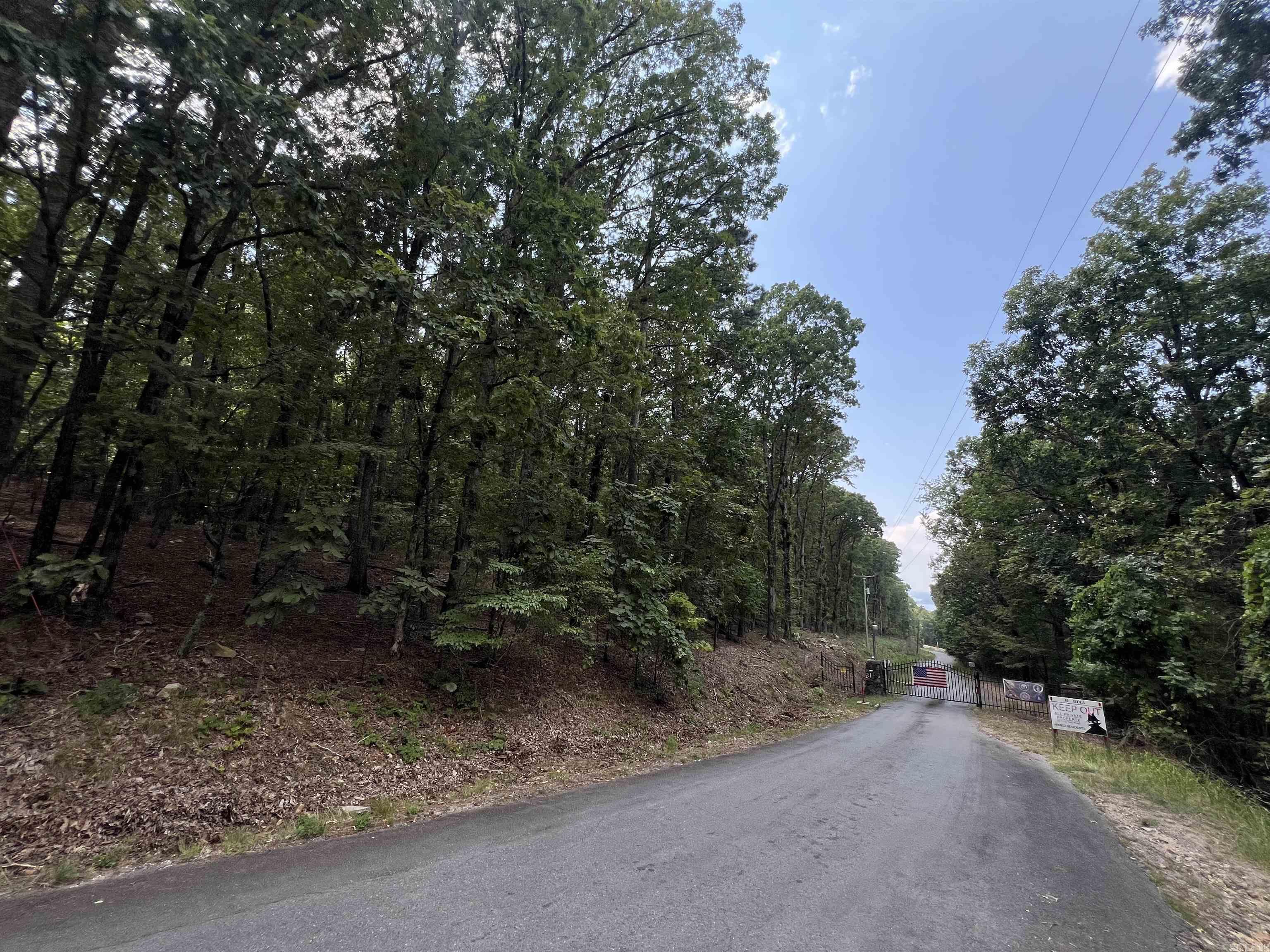 A RARE FIND!!!! Imagine building your dream home and creating lasting memories on a magnificent corner lot overlooking the peaceful vista of Lake Ouachita National Forest. This beautiful property is located in Lake Ouachita Shores subdivision and only a mile from the shoreline of Lake Ouachita known as the cleanest and most beautiful lake in Arkansas. The property has access to a private boat launch and picnic area in secluded Holiday Bay. Don't miss out on this secret retreat. It is truly a little slice of heaven!