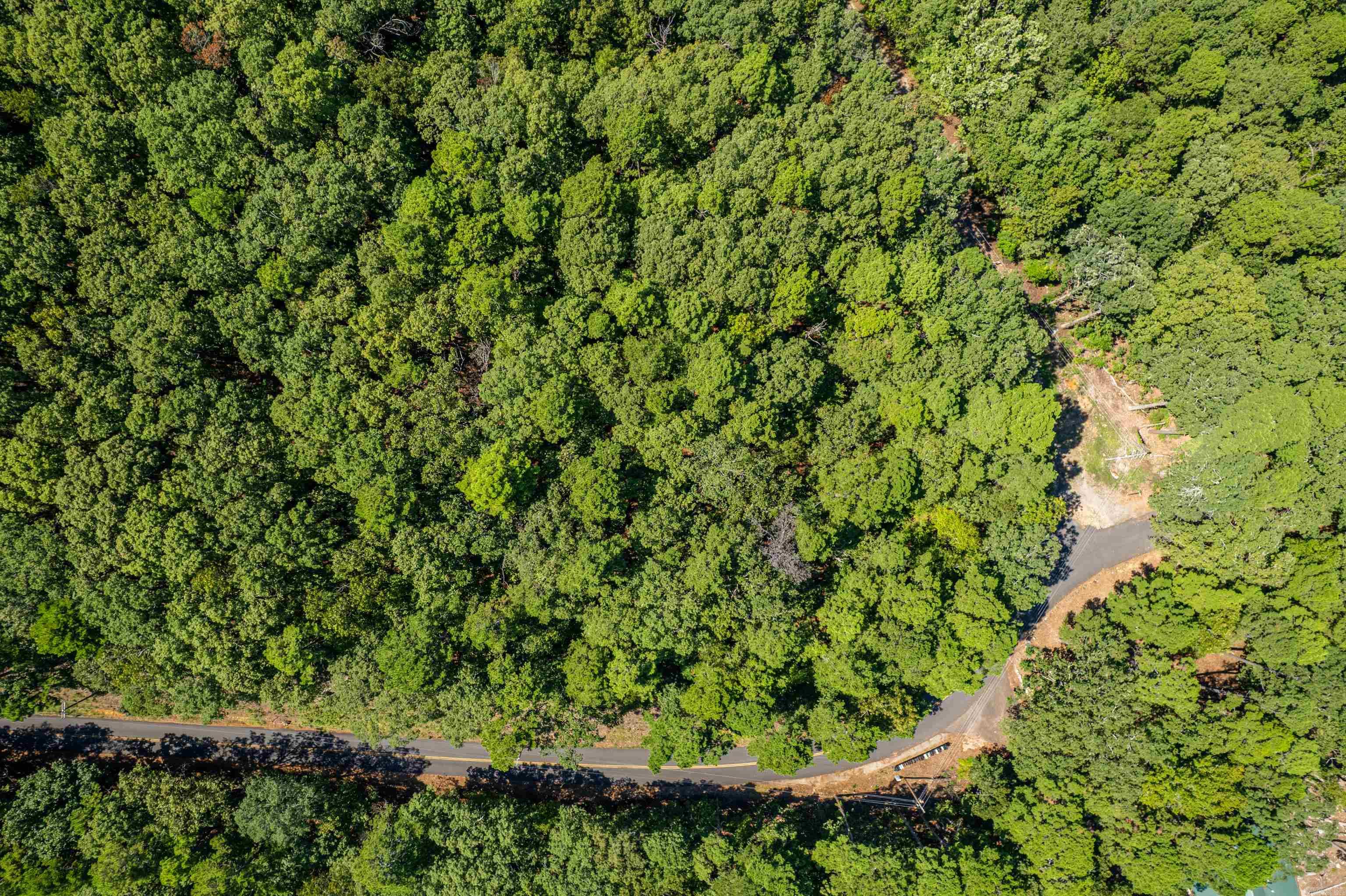 Lake Ouachita Shores - Land