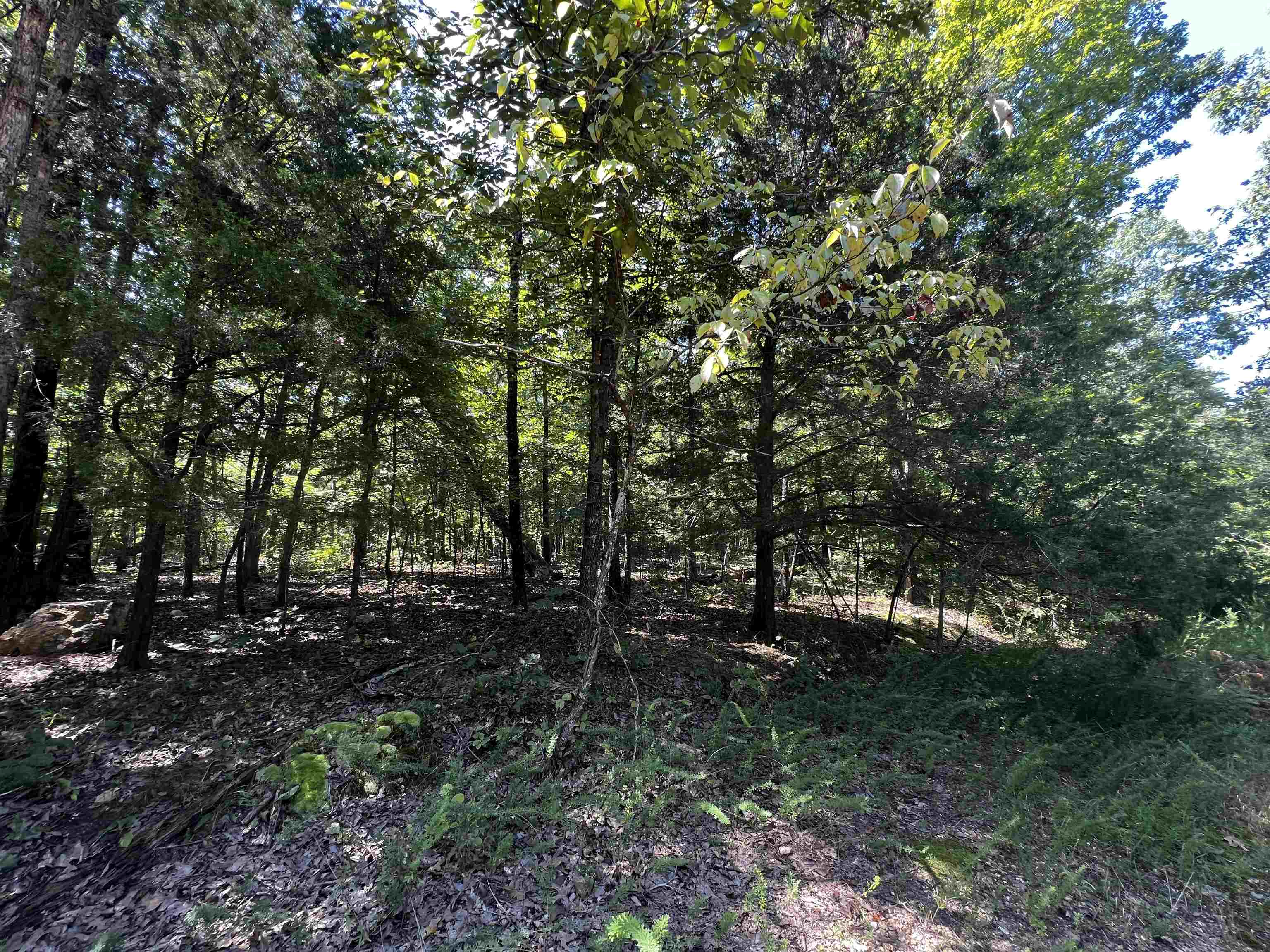 Hidden Valley Ranchette - Land