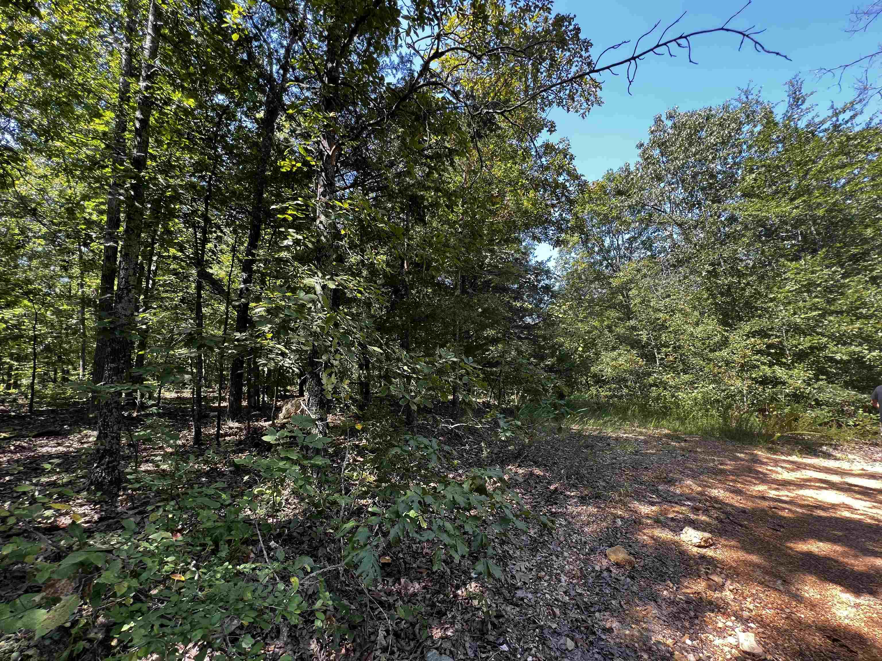 Hidden Valley Ranchette - Land