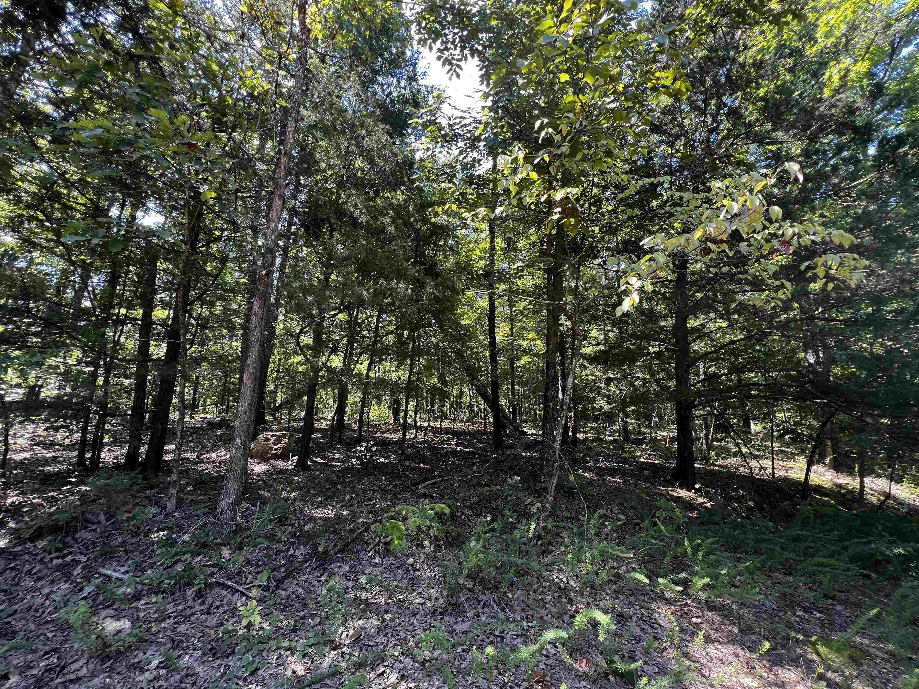 Hidden Valley Ranchette - Land