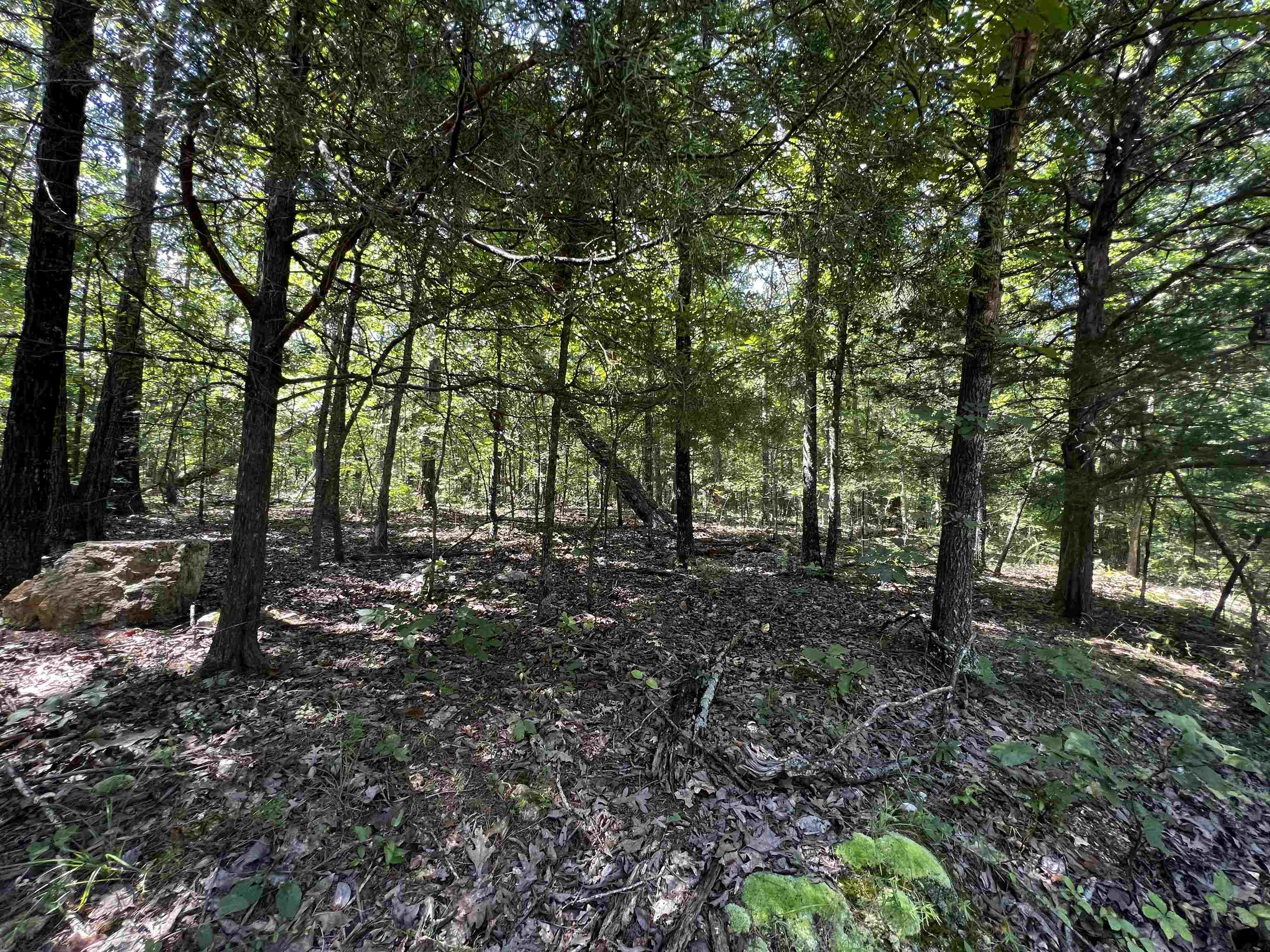 Hidden Valley Ranchette - Land